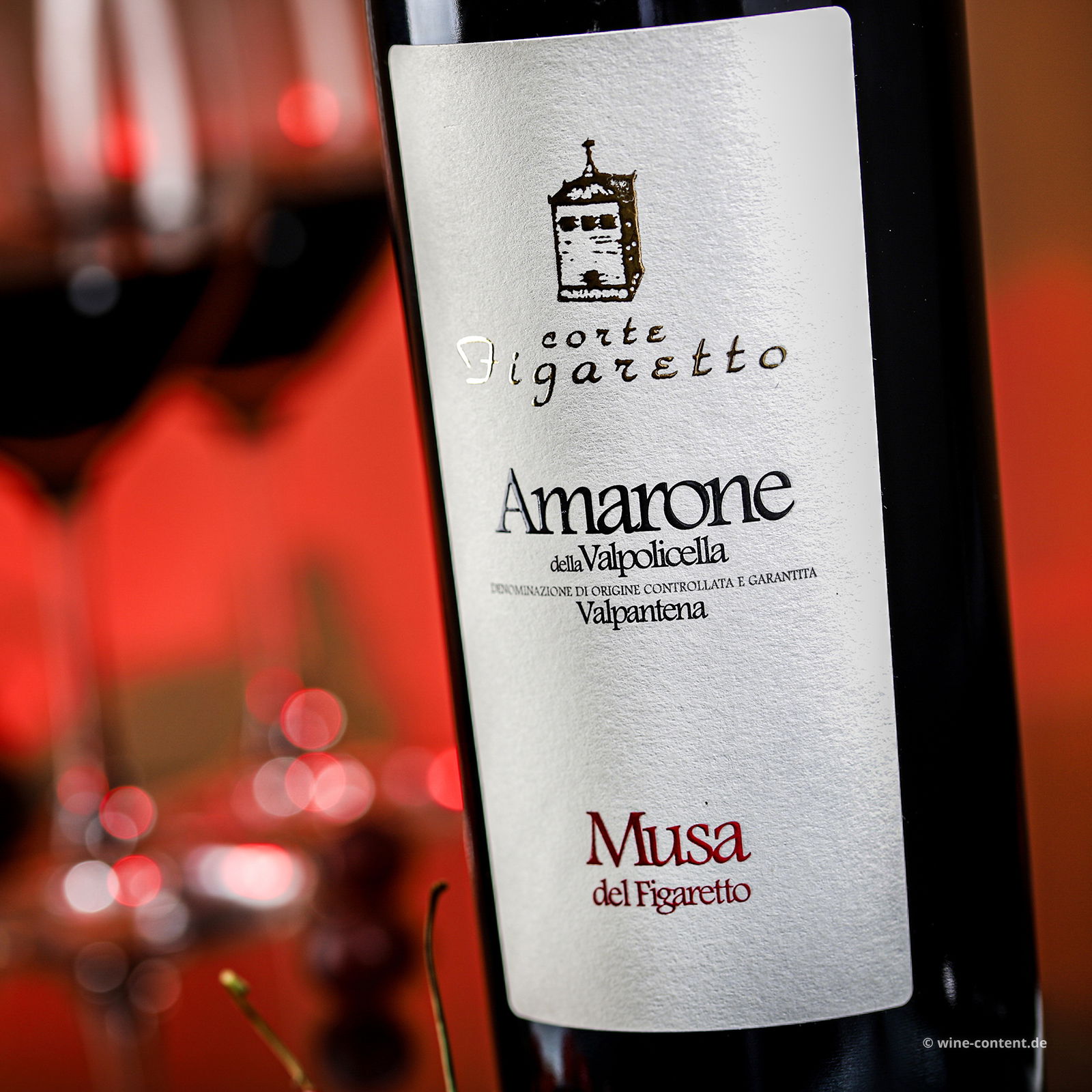 Amarone Valpantena 2019 Musa del Figaretto