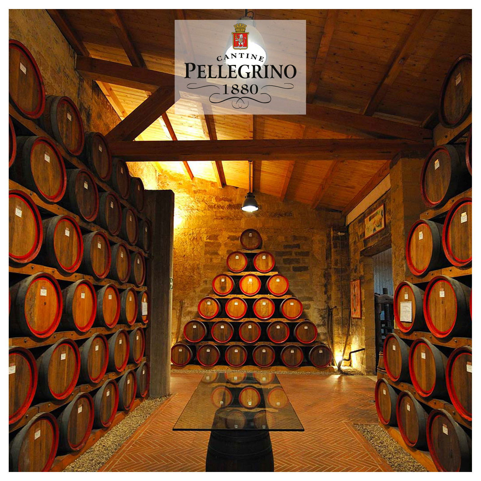 Grillo Sicilia 2025 Il Salinaro