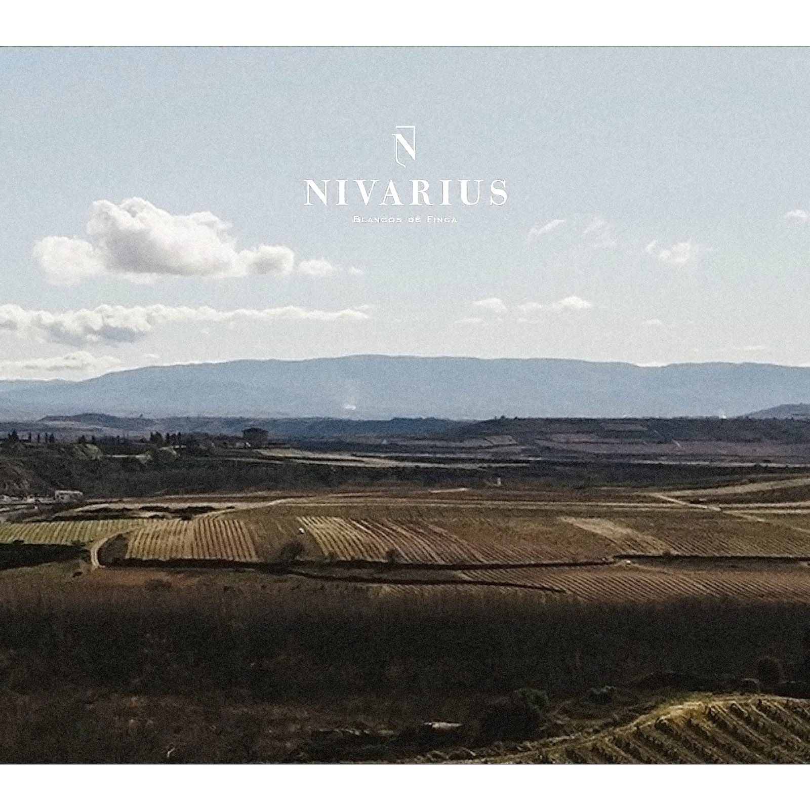 Rioja Blanco 2019 Edicion Limitada