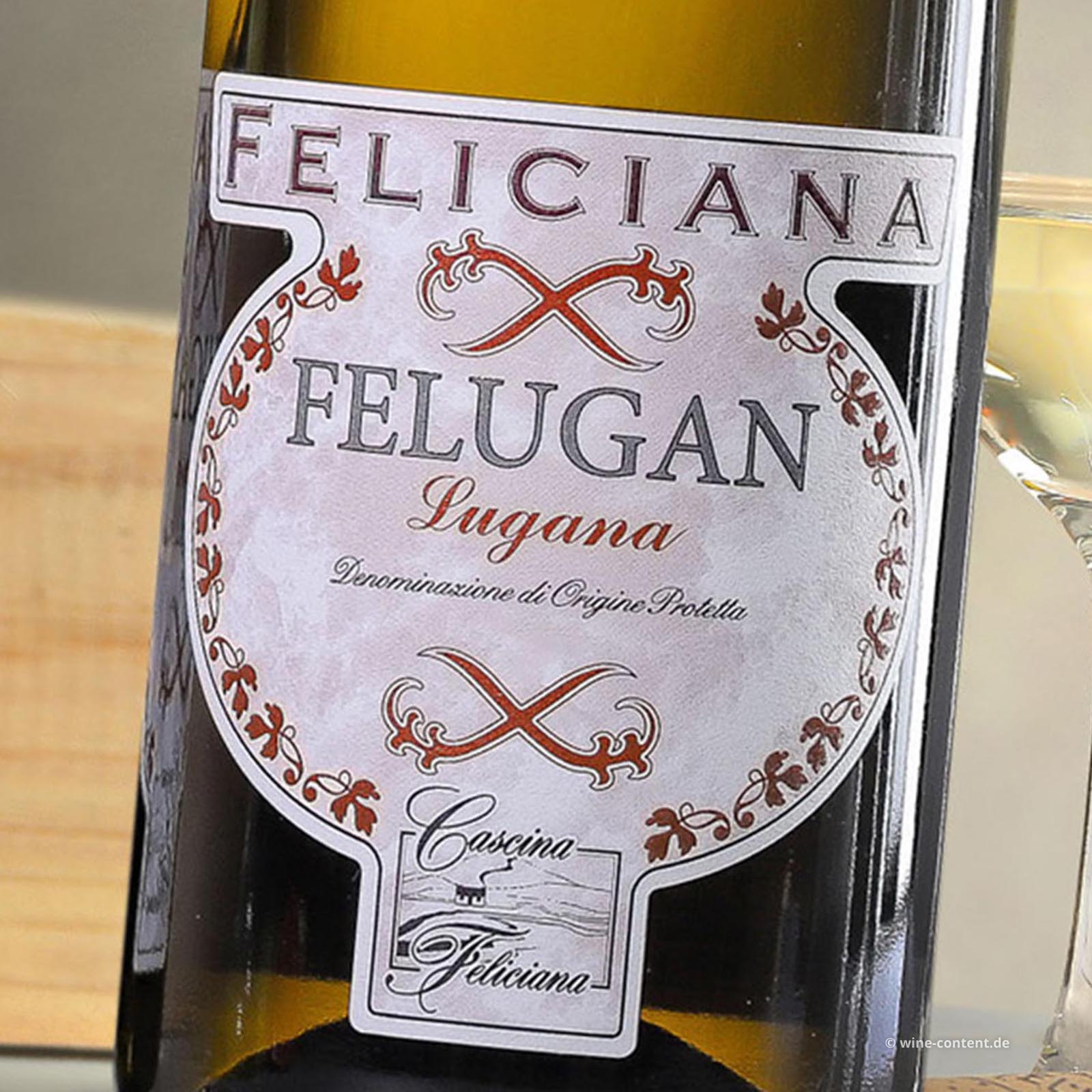 Lugana 2025 Felugan Magnum