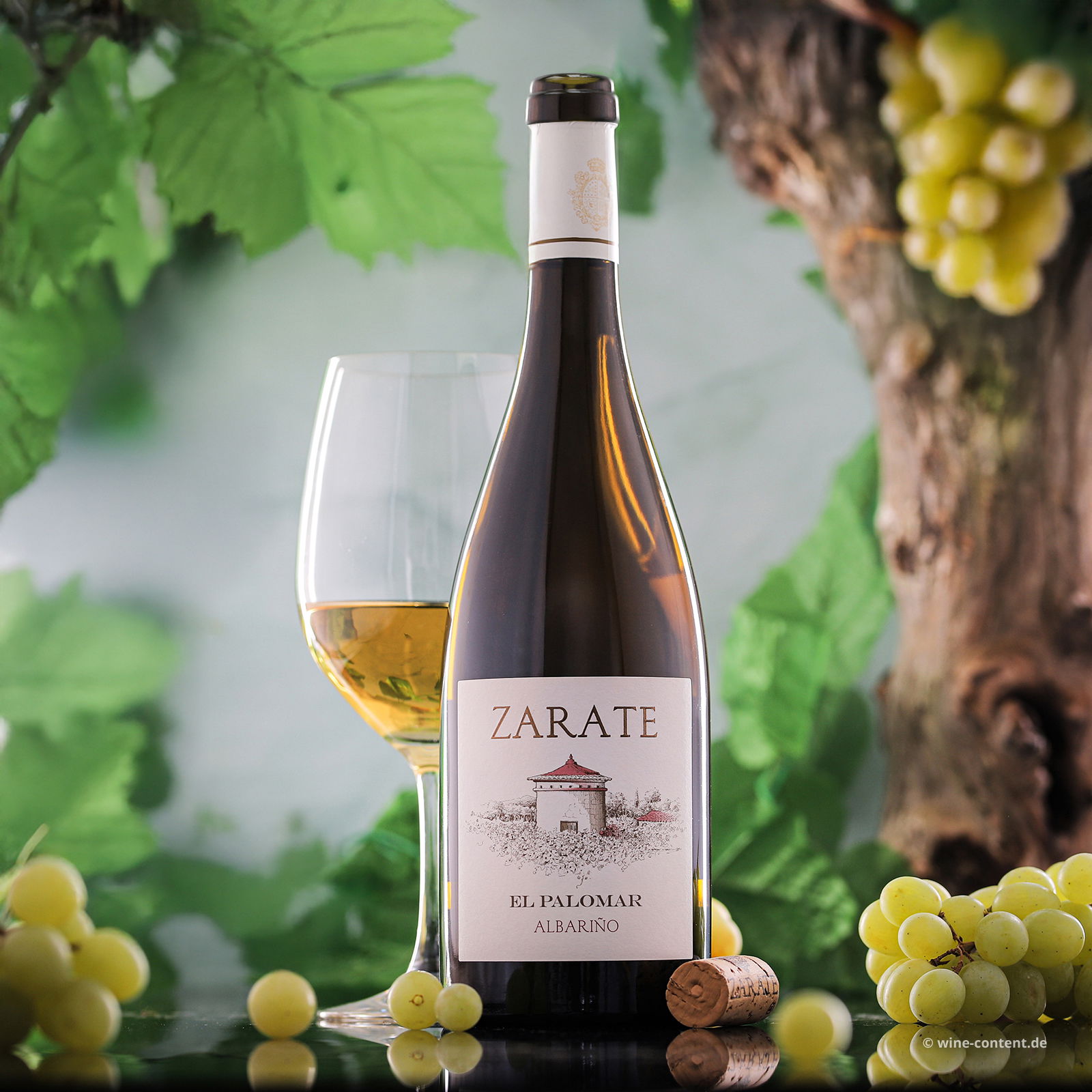 Albariño 2023 El Palomar