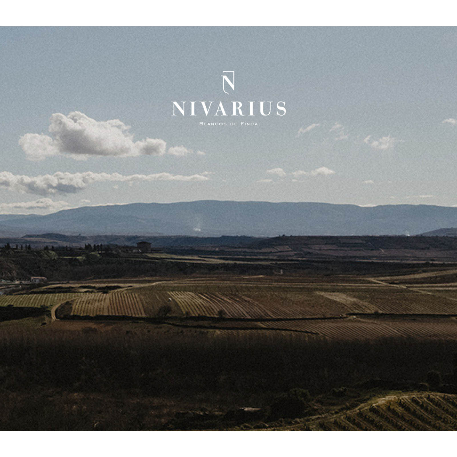 Rioja Blanco 2017 Finca La Nevera