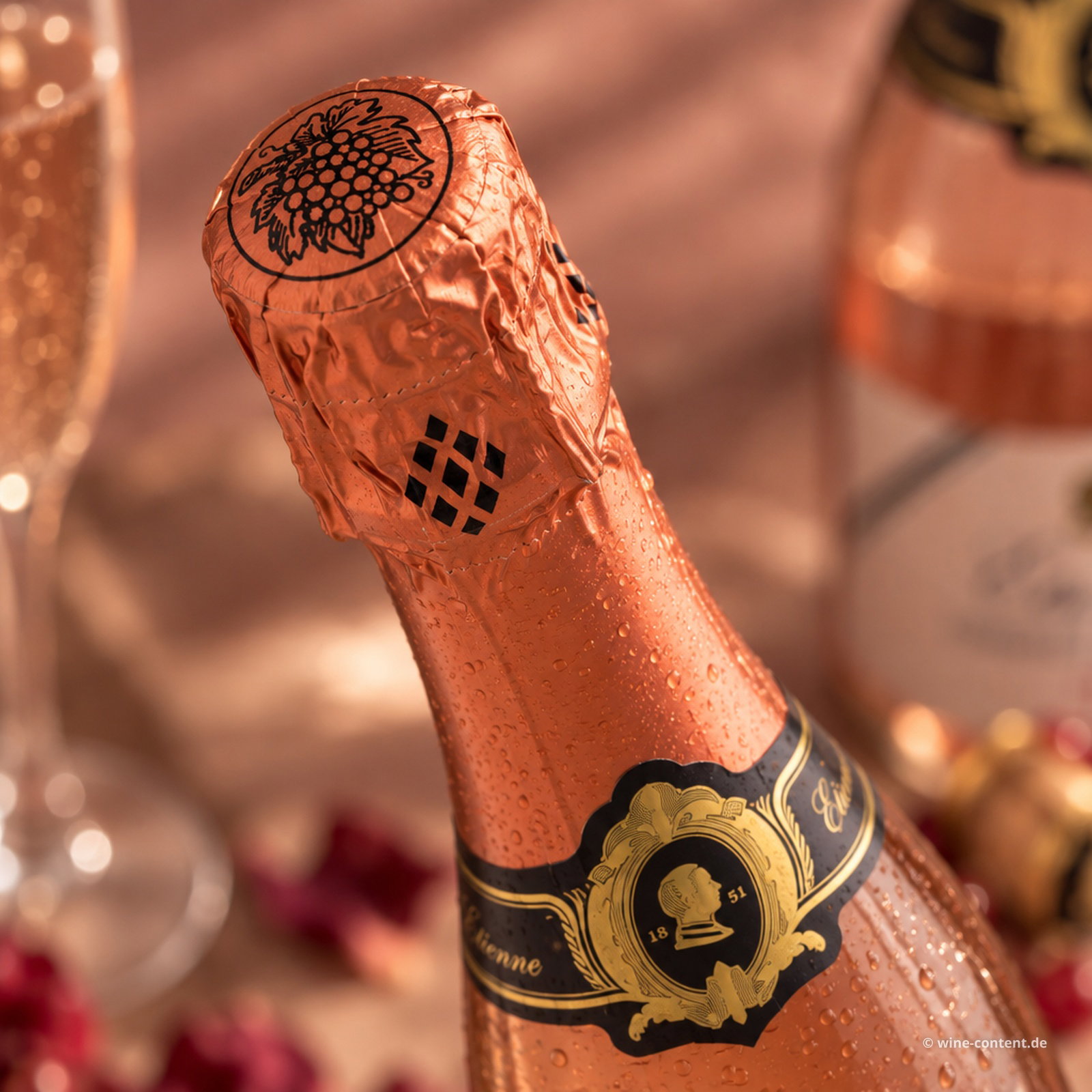 Crémant de Loire Rosé Etienne Brut