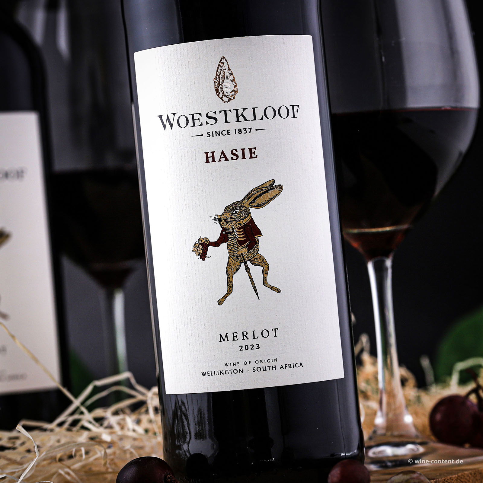 Merlot 2023 Hasie