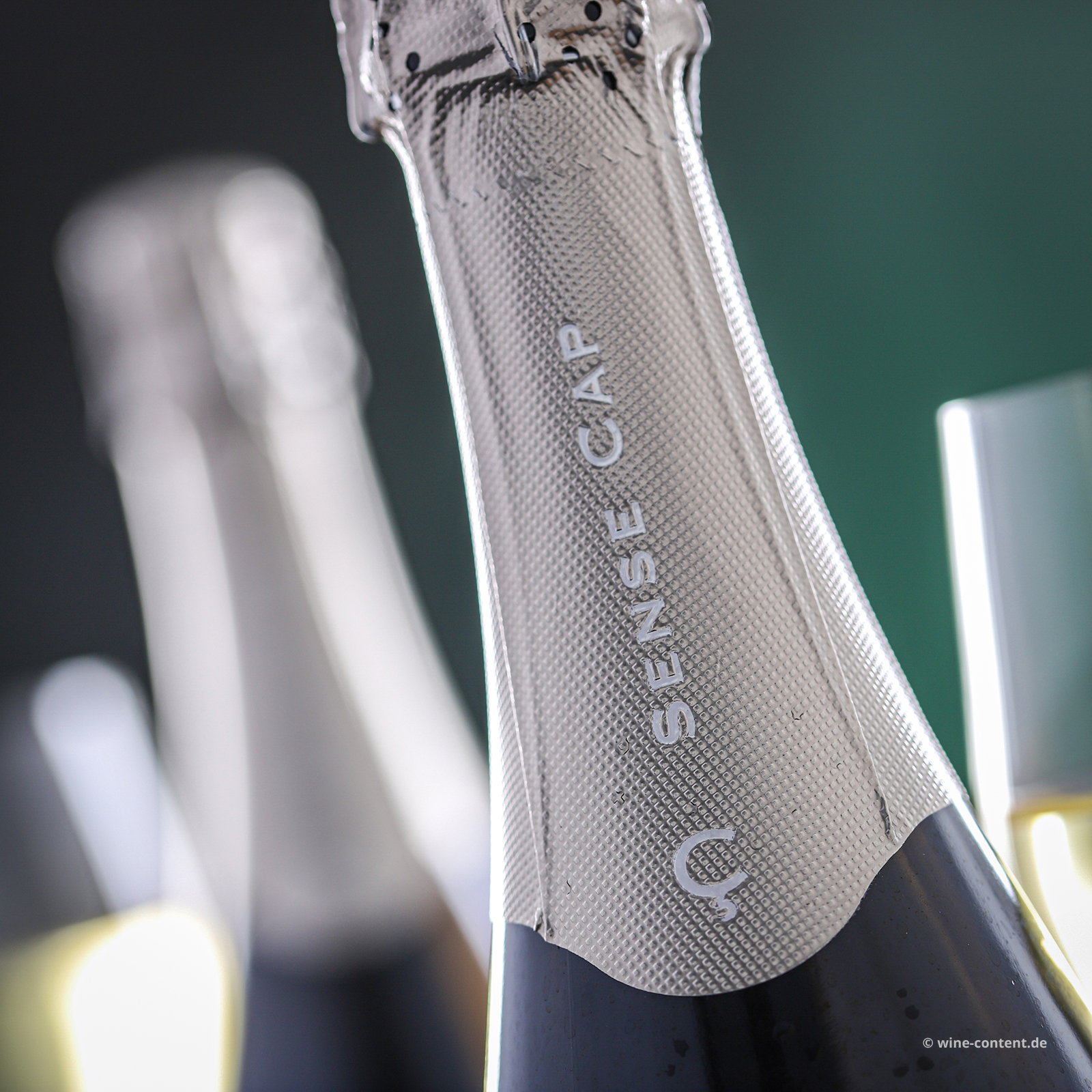 Cava Reserva 2021 Sense Cap Brut Bio