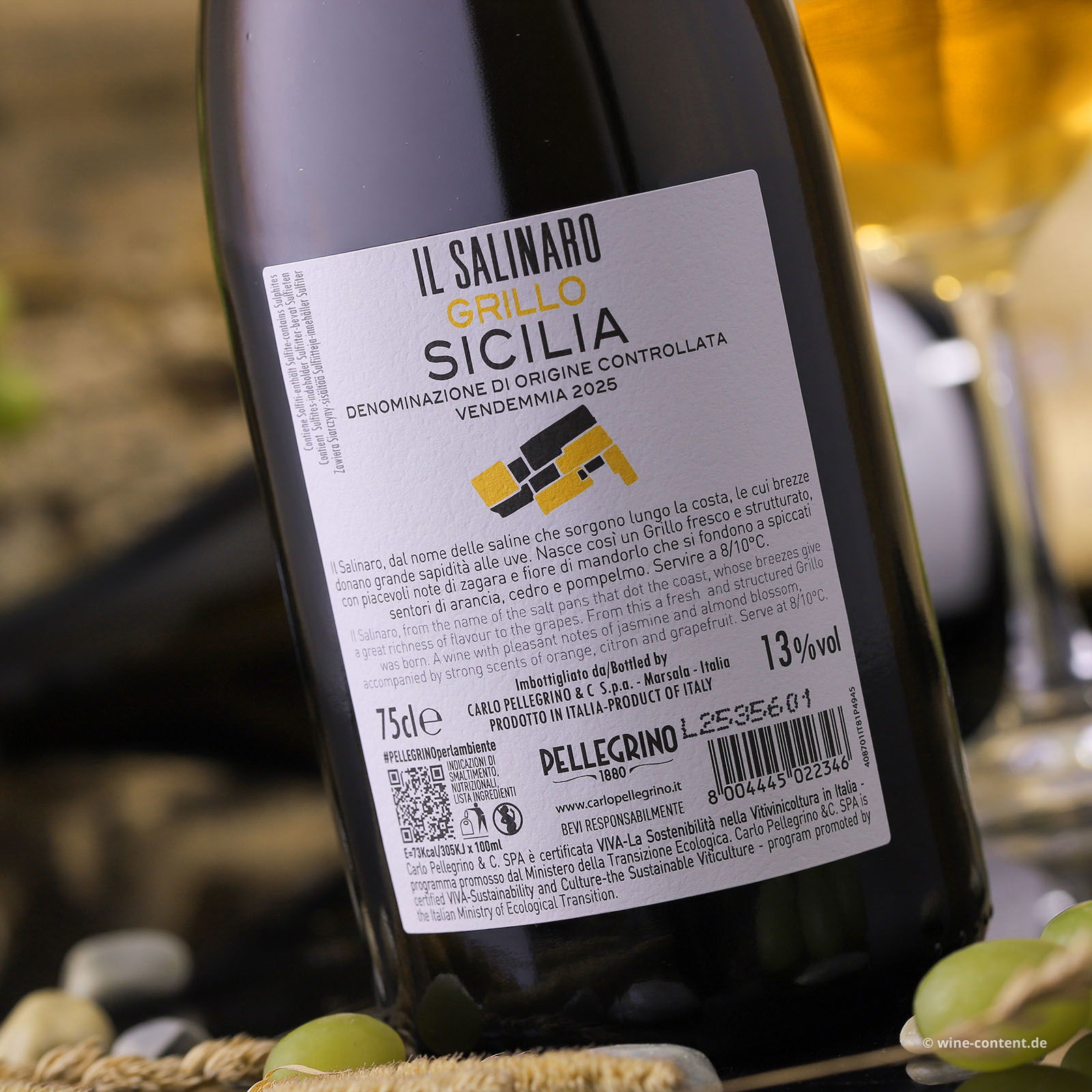 Grillo Sicilia 2025 Il Salinaro