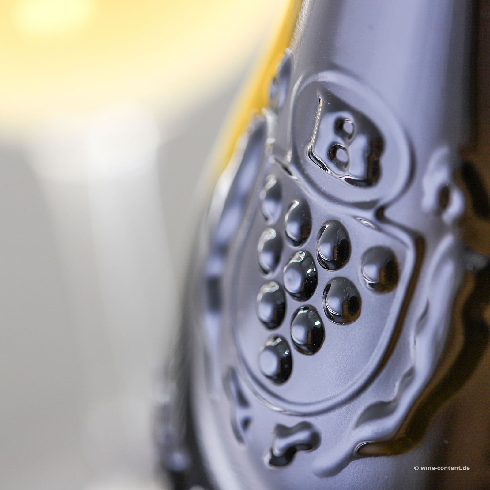 San Martino della Battaglia 2024 XIX