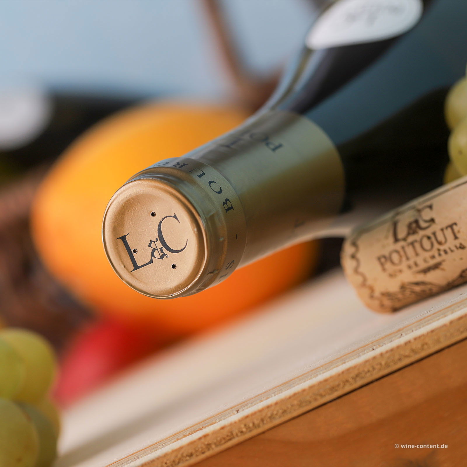 Bourgogne Blanc 2023 Tonnerre