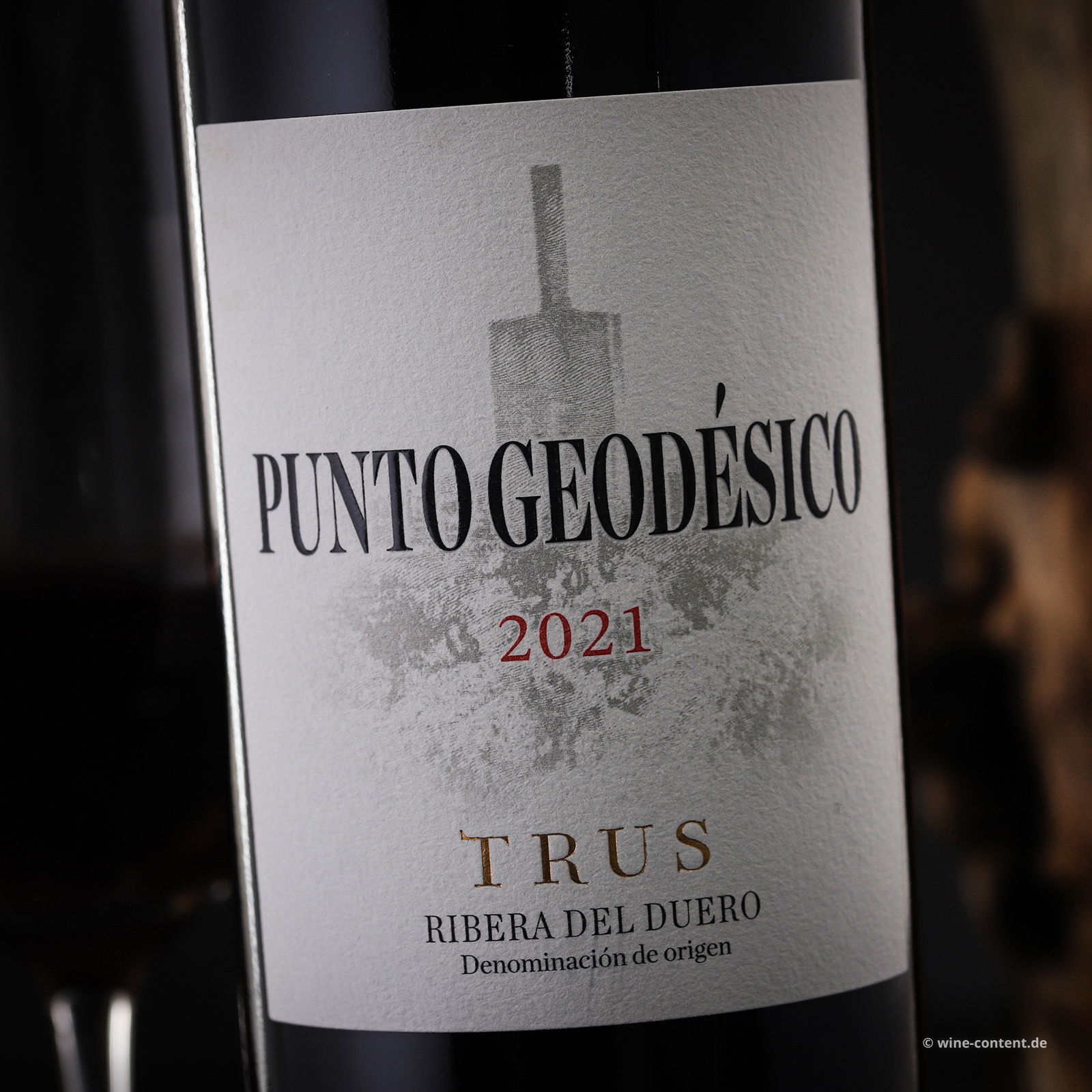 Tempranillo 2021 Punto Geodésico