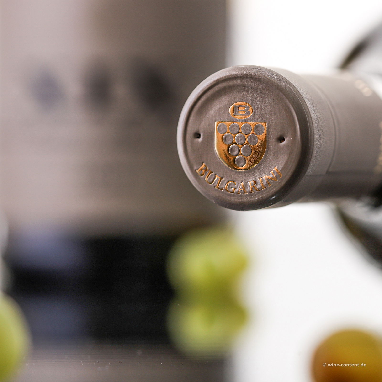 San Martino della Battaglia 2024 XIX