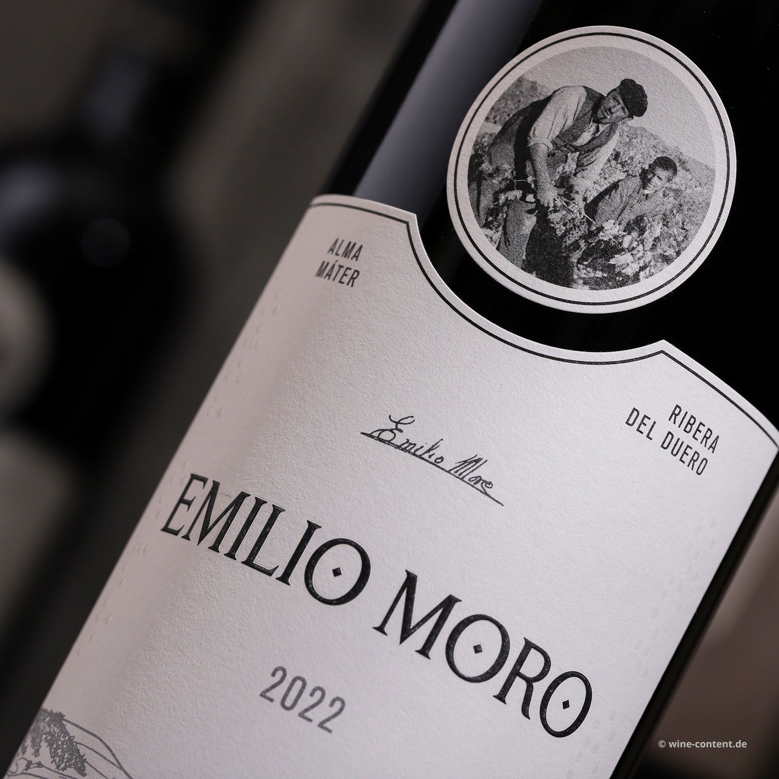 Tempranillo 2022 Emilio Moro