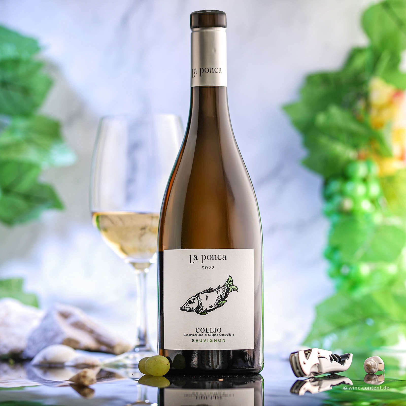 Sauvignon Collio 2022 Bio