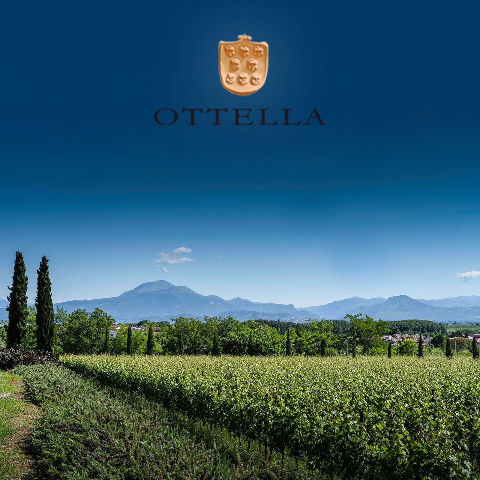 Lugana 2024 Le Creete