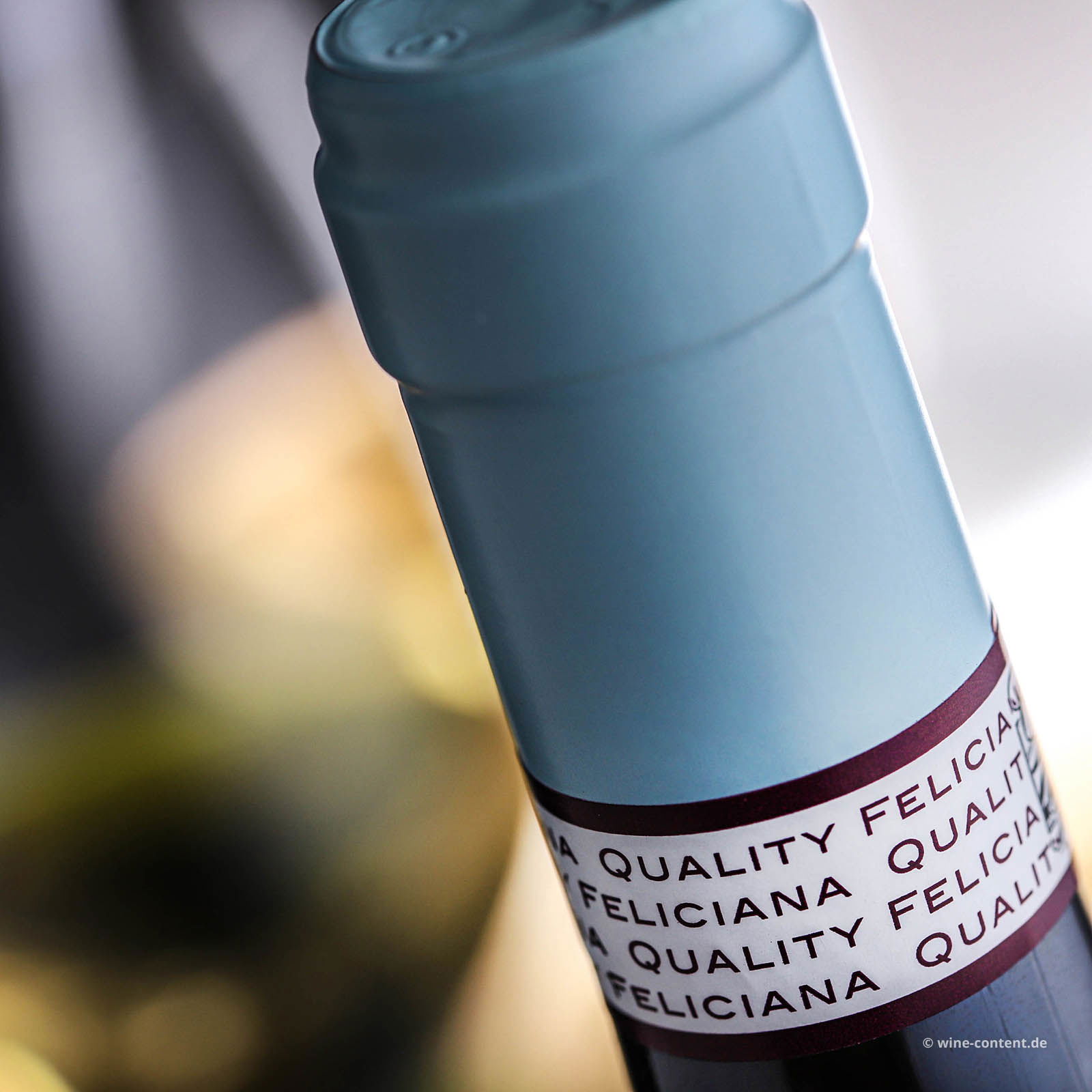 San Martino della Battaglia 2024 Torfel