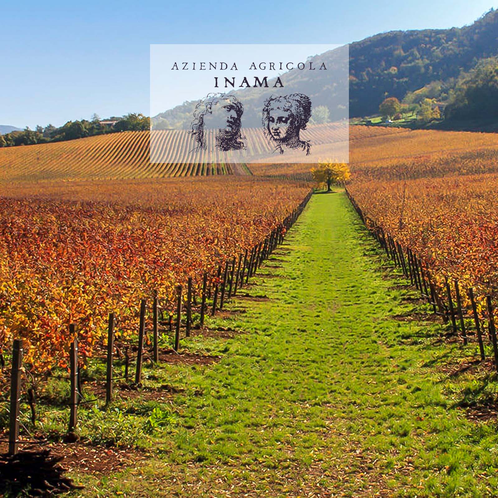 Carmenere Colli Berici Riserva 2017 Oratorio di San Lorenzo