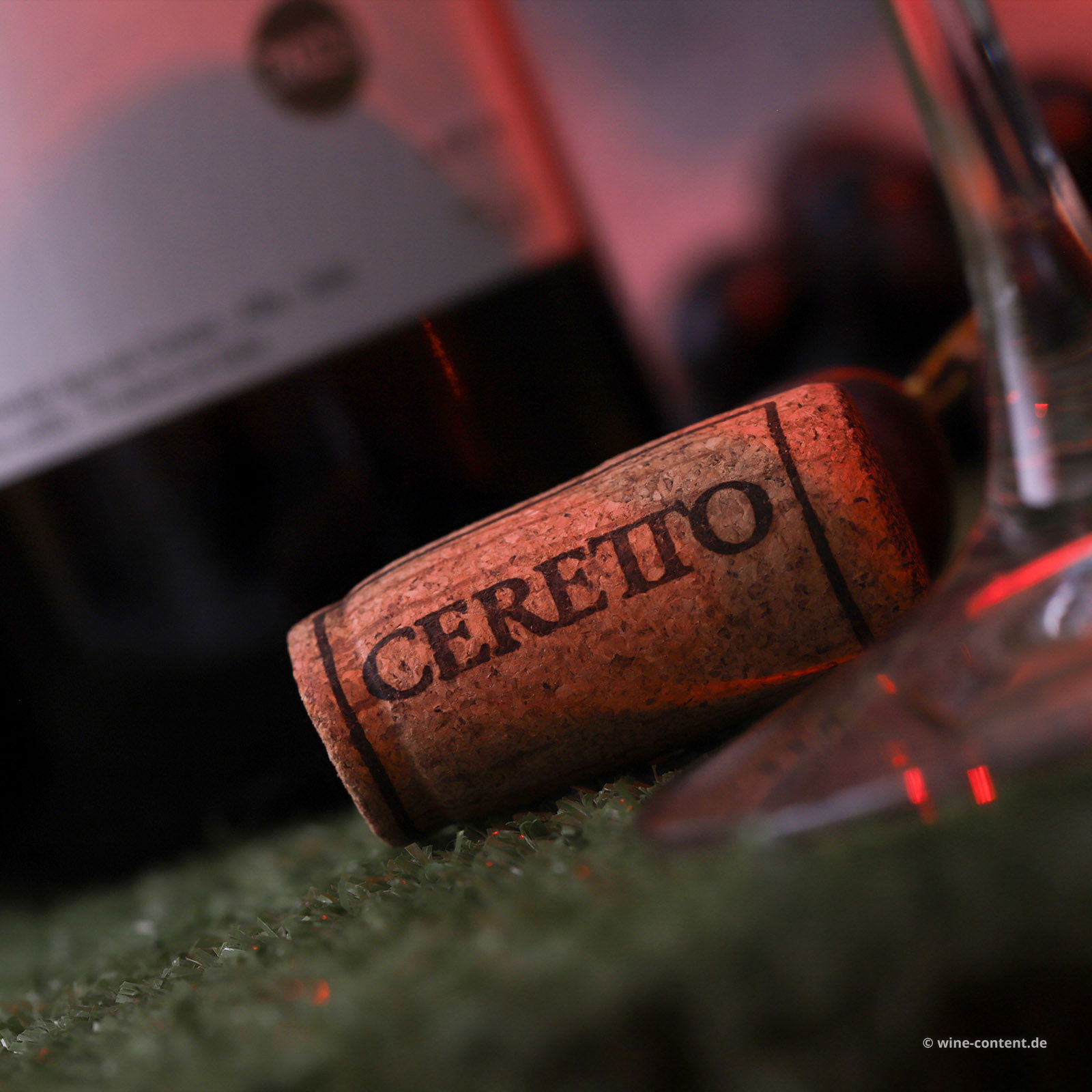 Barbera d'Alba 2023 Piana Bio