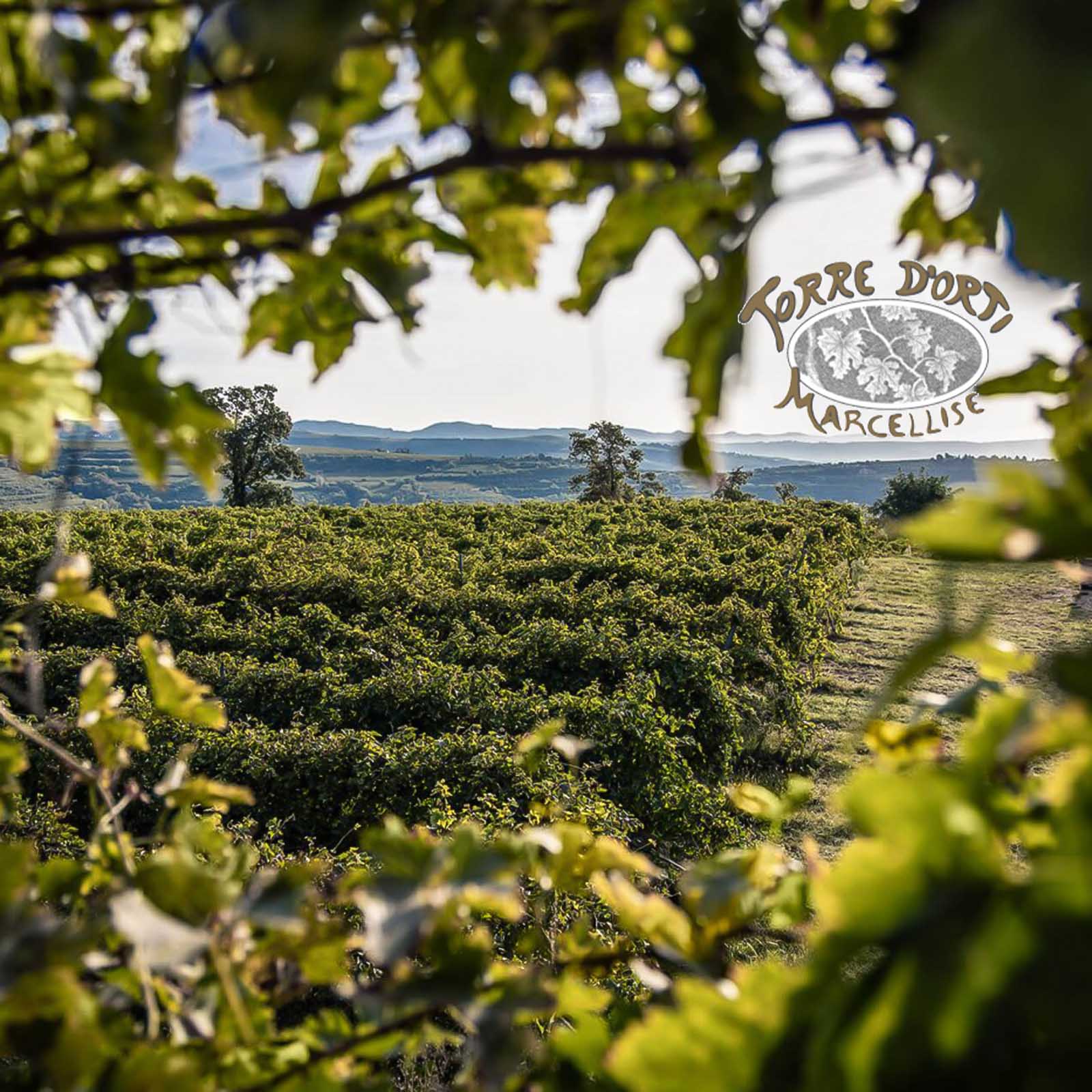 Amarone Riserva 2019 Brolo Camozzini