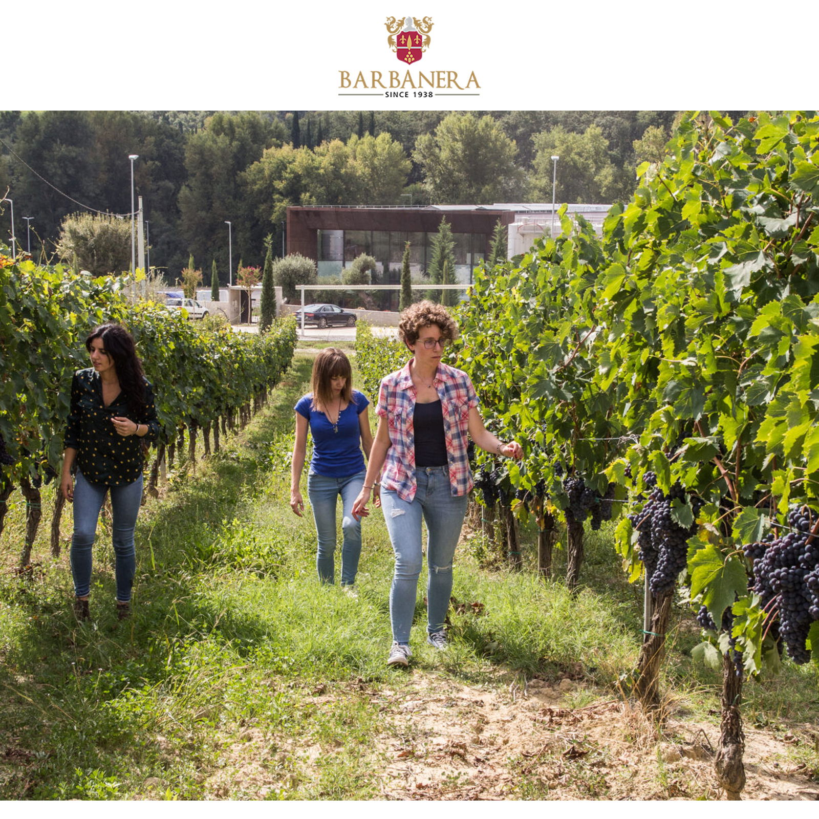 Gigino Rosso 2021 Anniversario 80