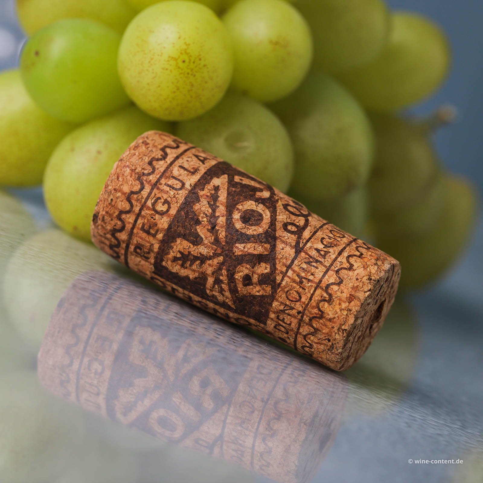 Rioja Blanco 2019 Edicion Limitada