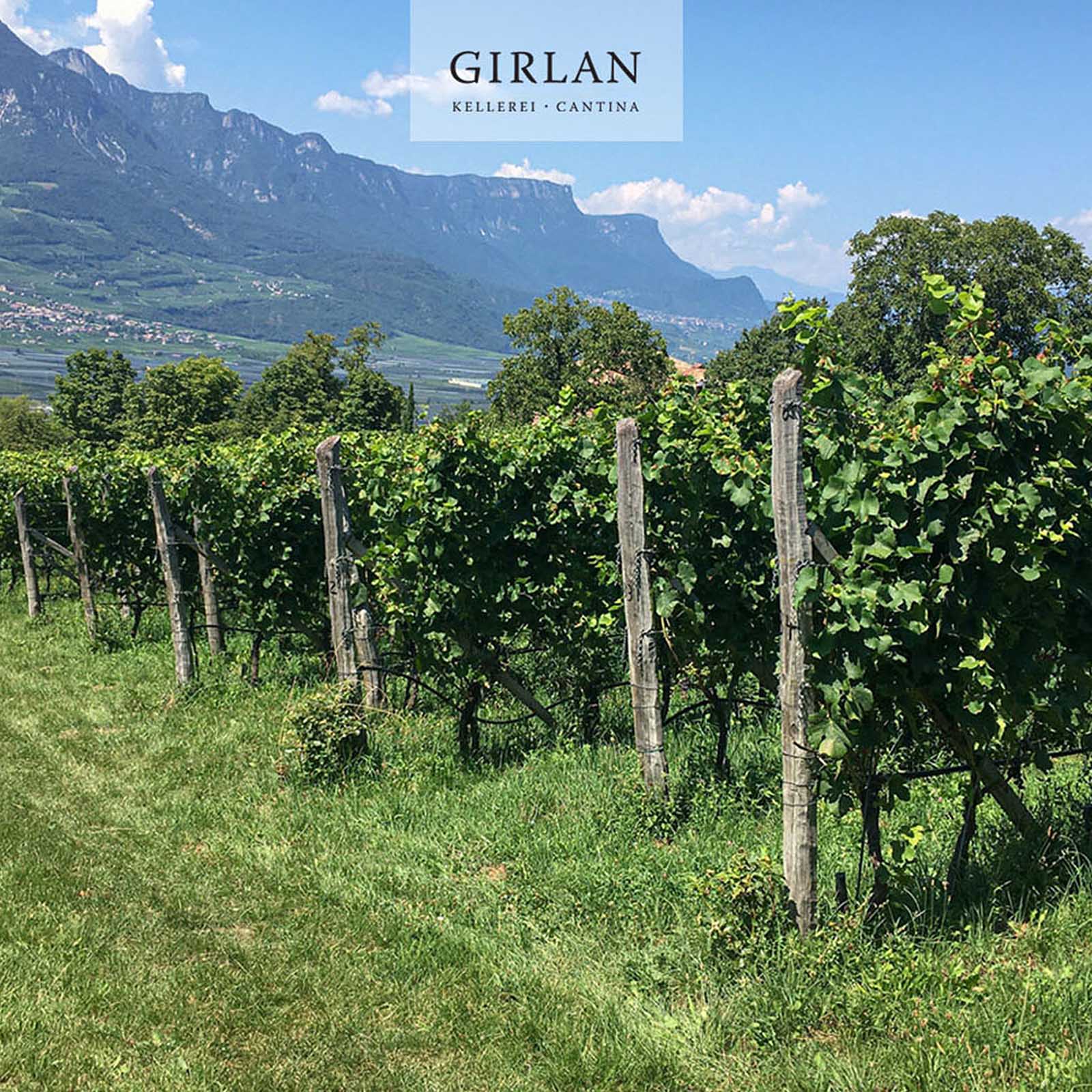 3er-Paket Pinot Noir Riserva 2020 Curlan