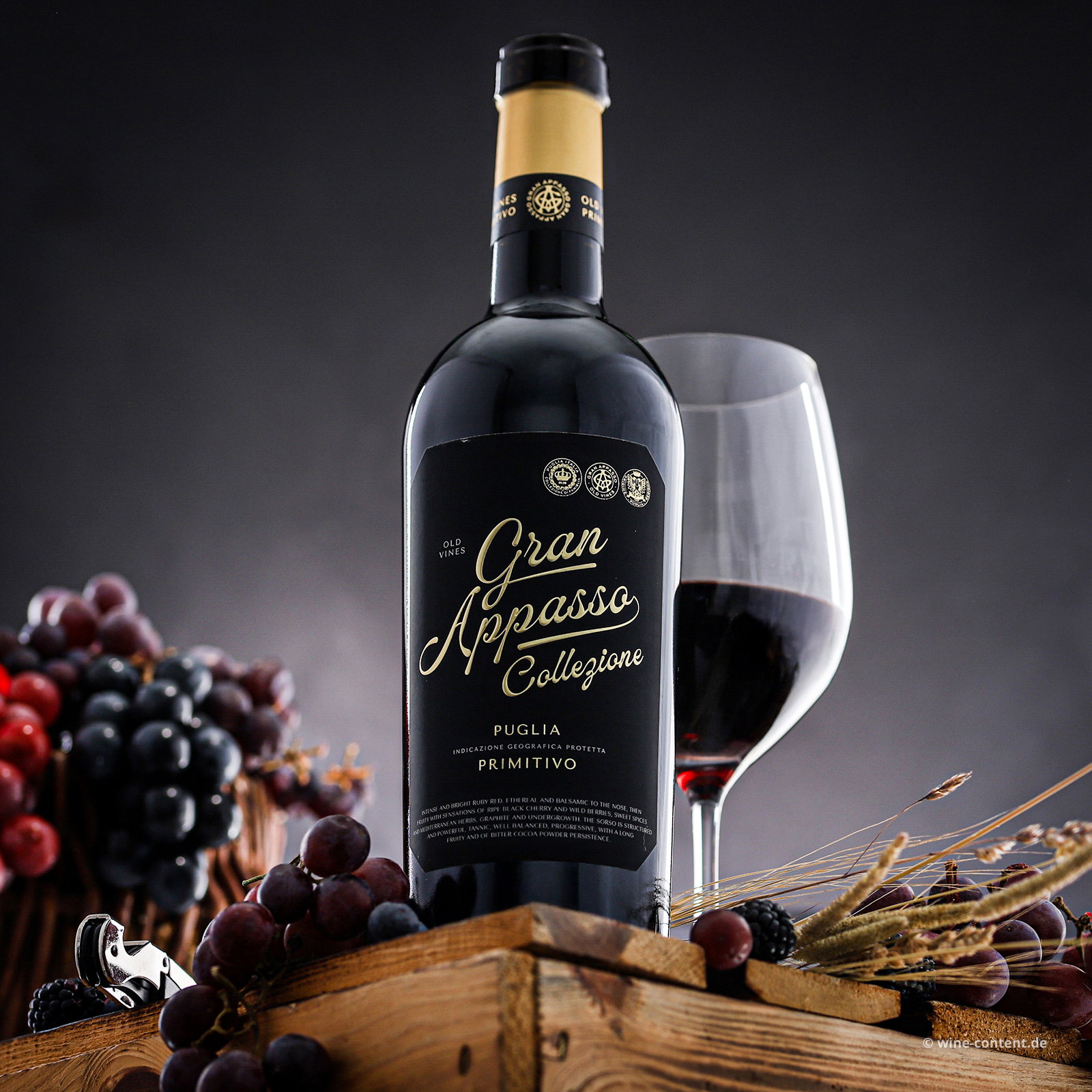 Primitivo 2025 Gran Appasso Collezione