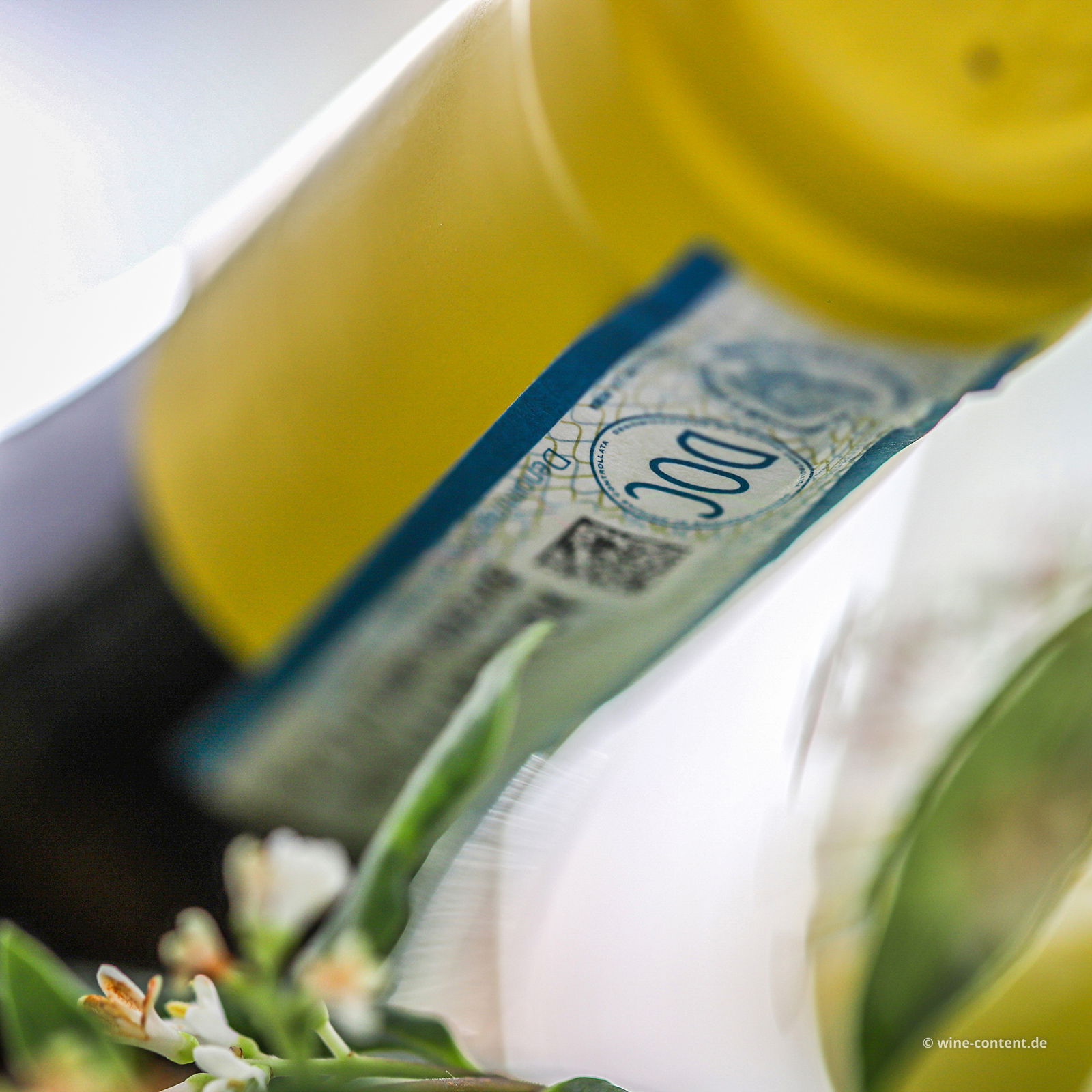 Grillo Sicilia 2024 Passiperduti