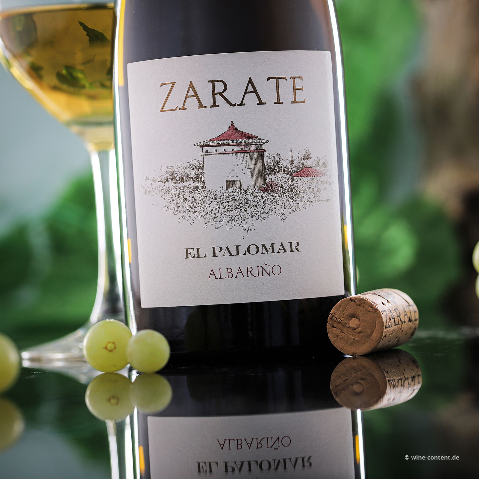 Albariño 2023 El Palomar