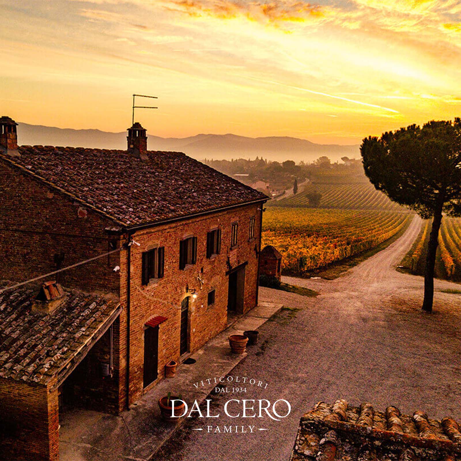 6er-Holzkiste Syrah Cortona 2019 Tenuta Montecchiesi Klanis