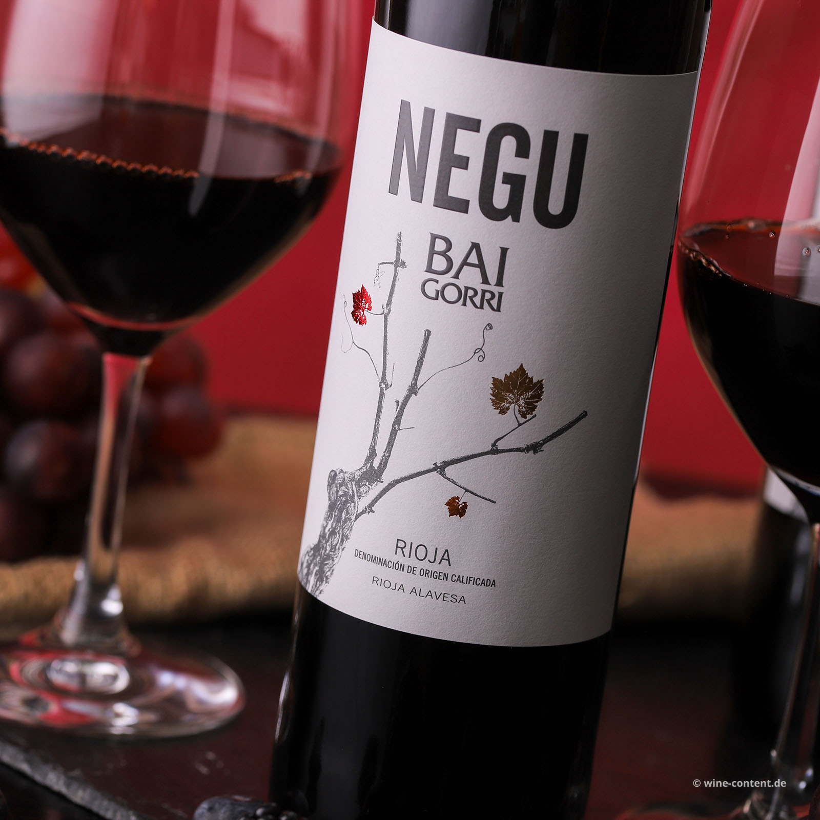 Rioja 2025 Negu