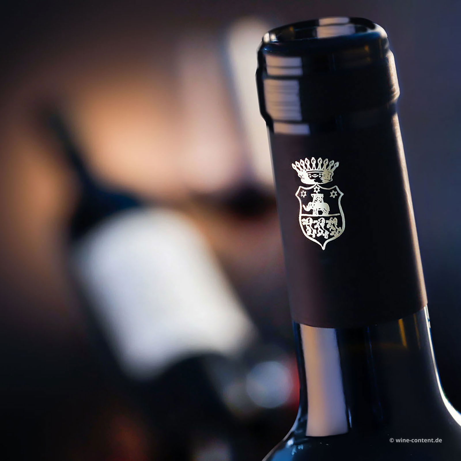 Umbria Rosso 2019 Sariano Bio