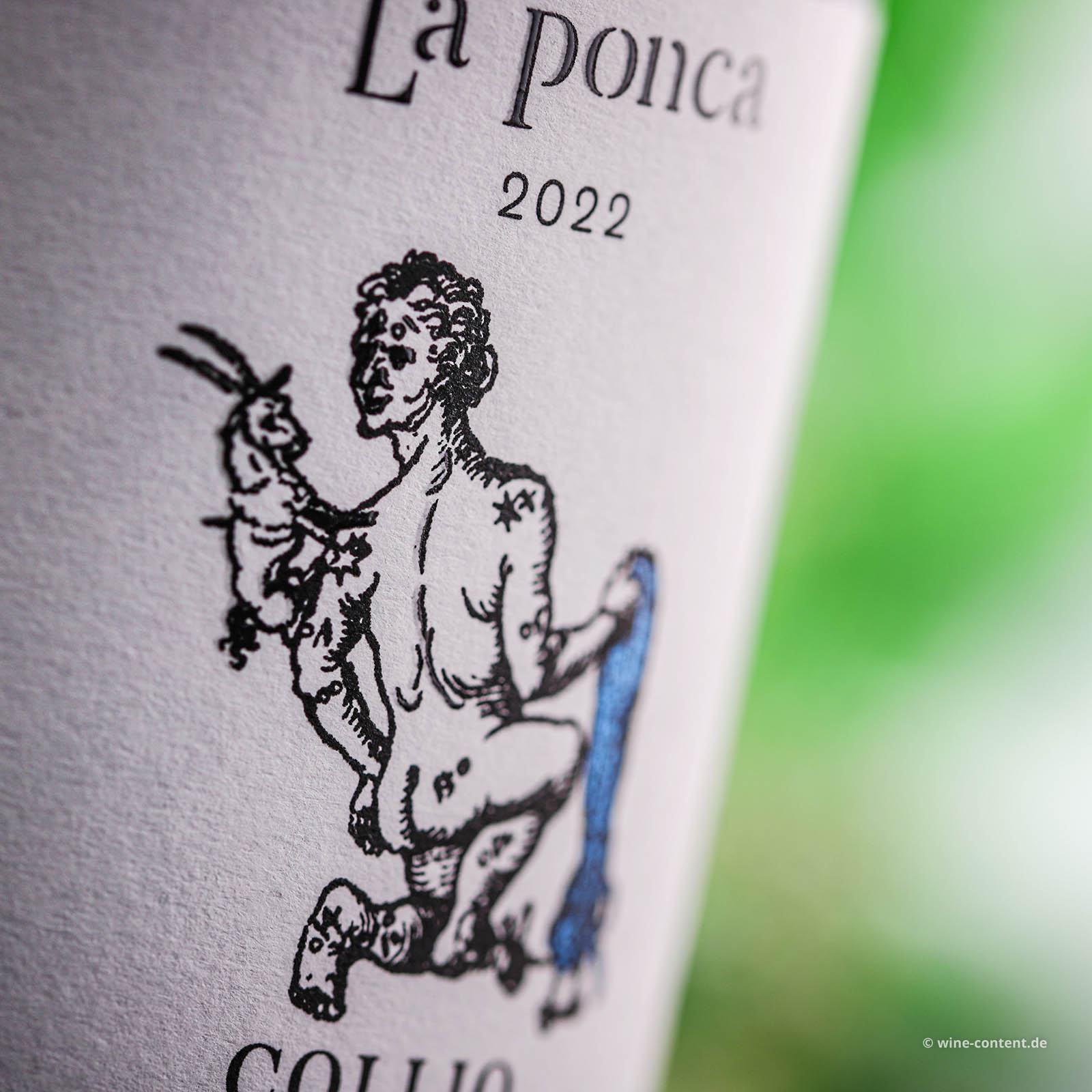 Chardonnay Collio 2022 Bio