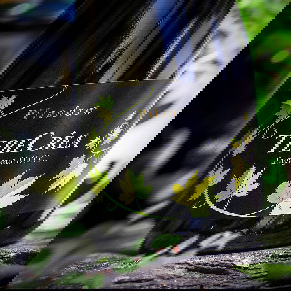 Lugana 2025 TereCrèa