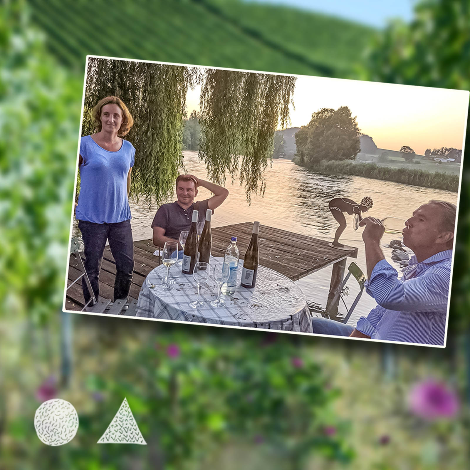 Sauvignon Blanc 2024 Kiwi Bio