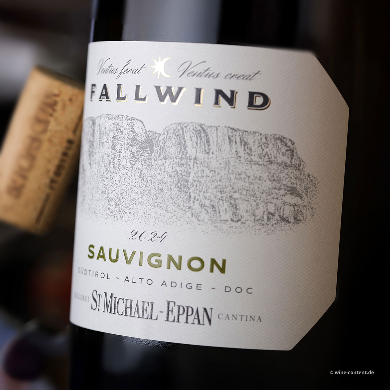 Sauvignon Blanc 2024 Fallwind
