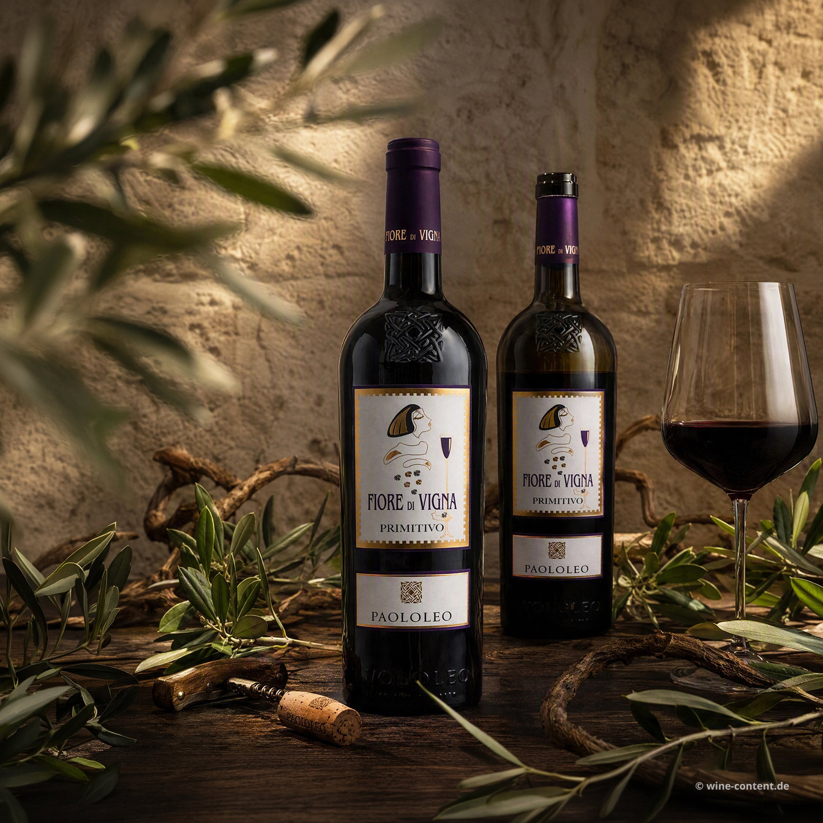 Primitivo Salento 2021 Fiore di Vigna