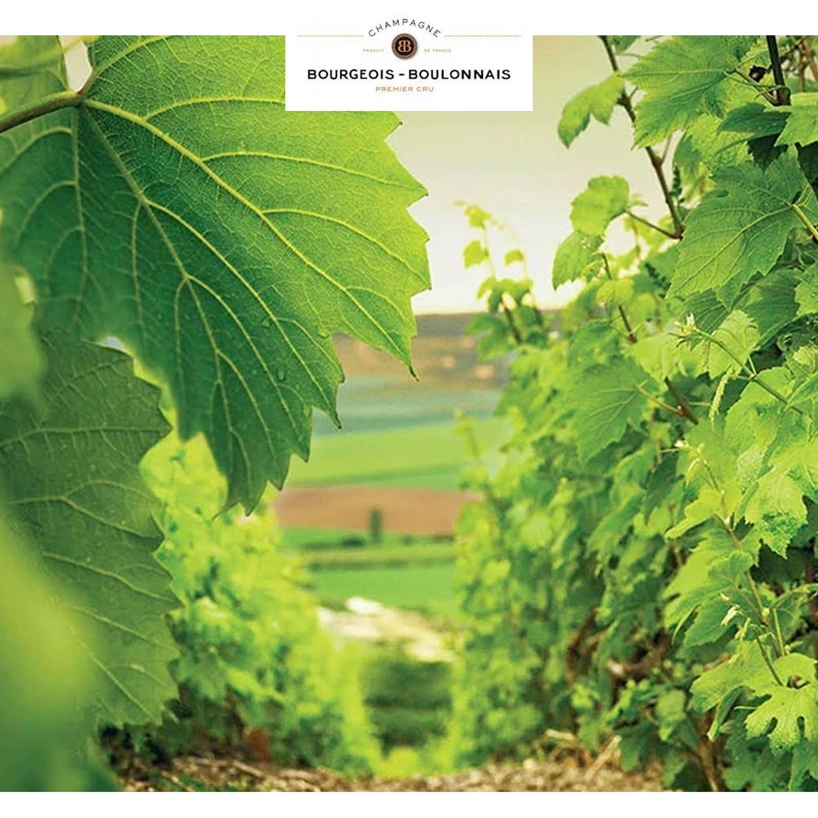 Champagner Grande Réserve 1er Cru Brut