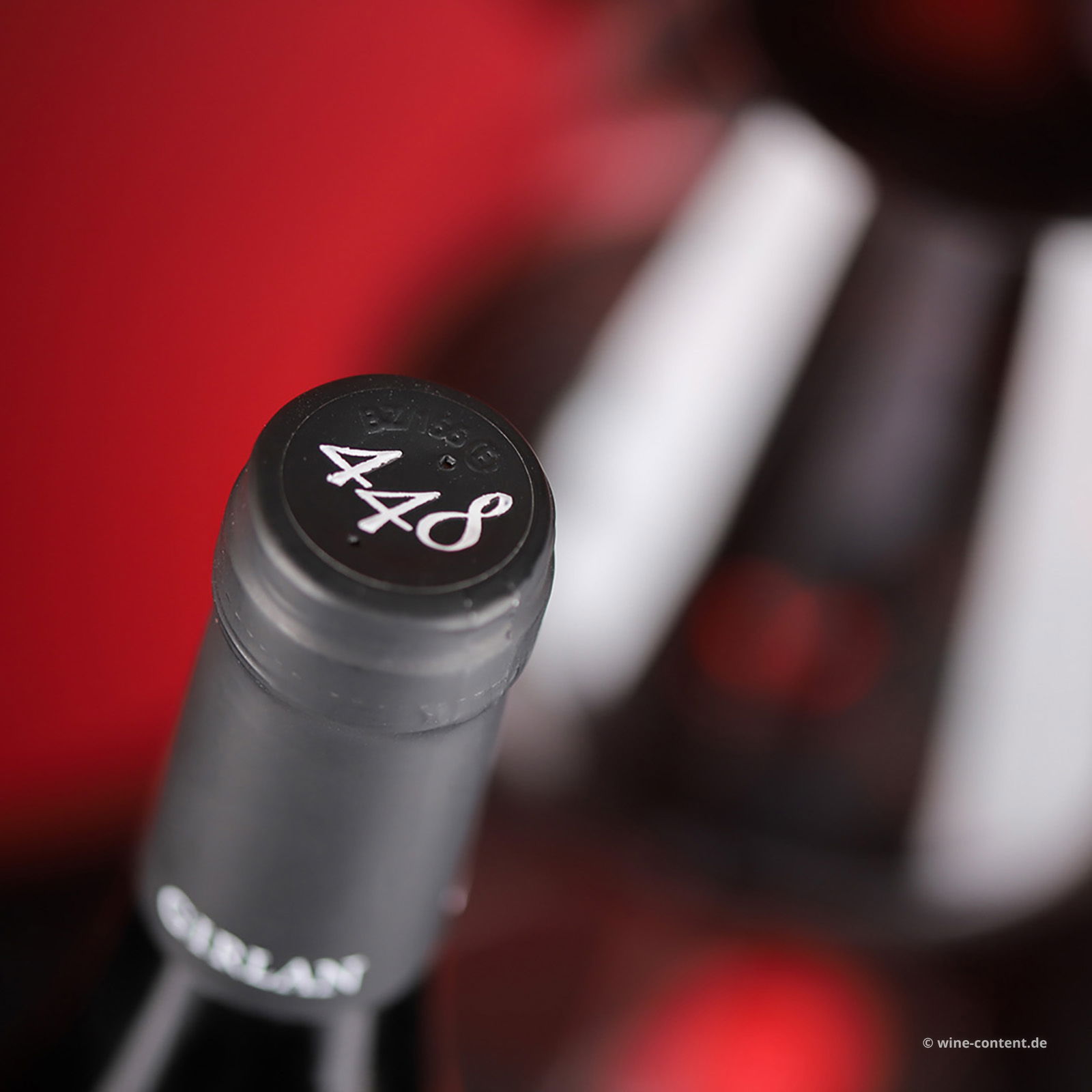 Vernatsch 2024 448 s.l.m.