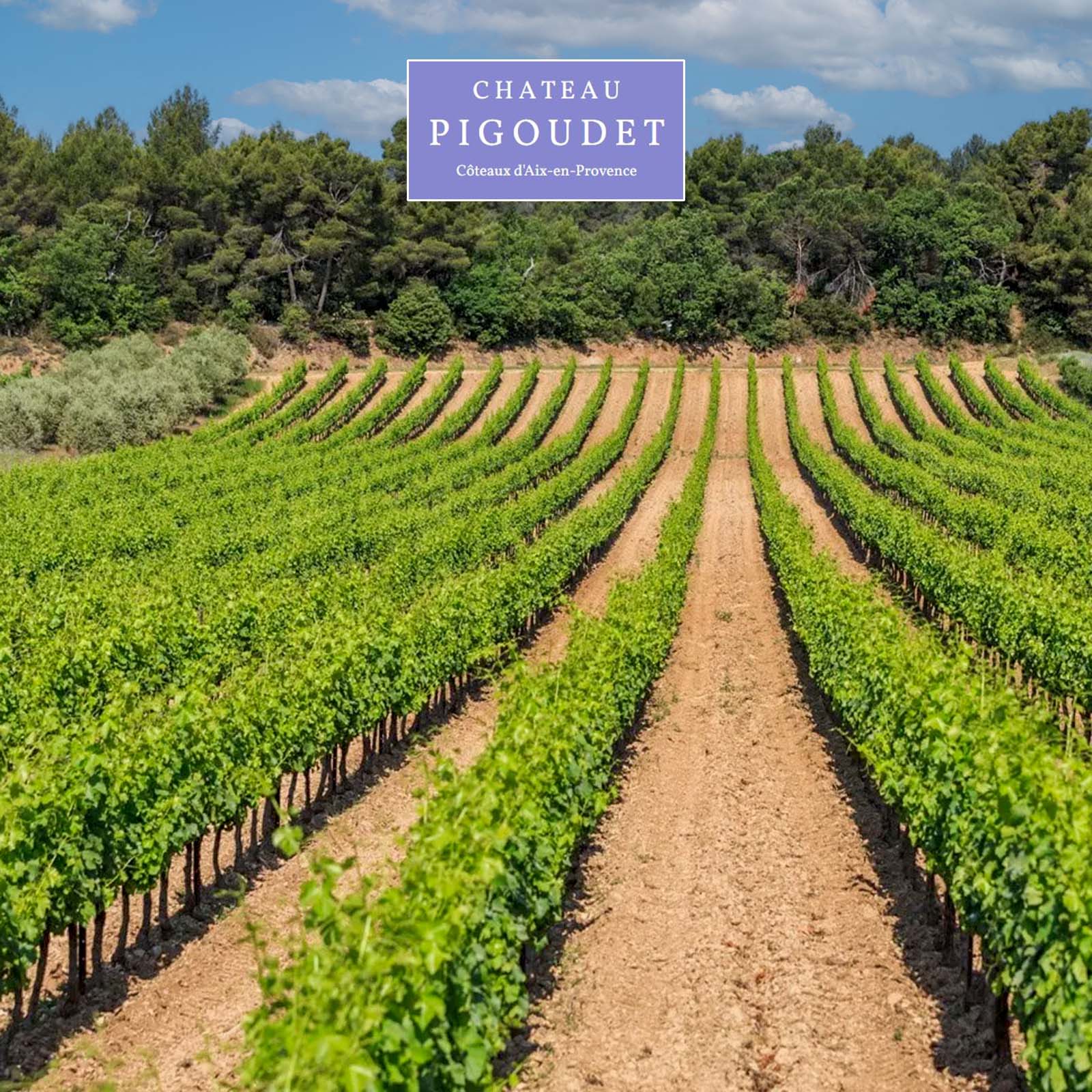 Aix en Provence Rosé 2025 Première