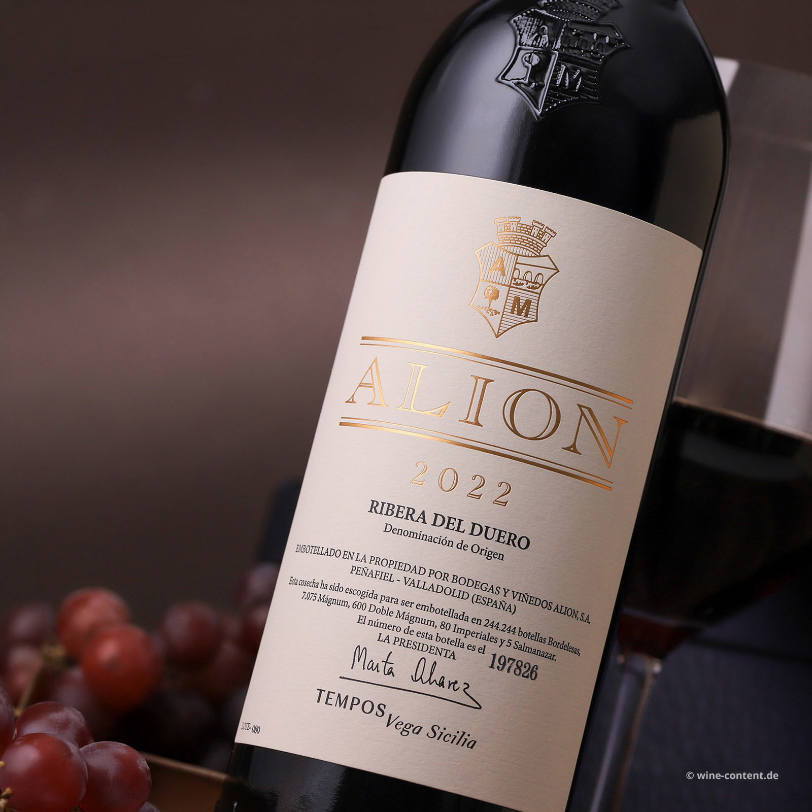 Ribera del Duero 2022 Alión