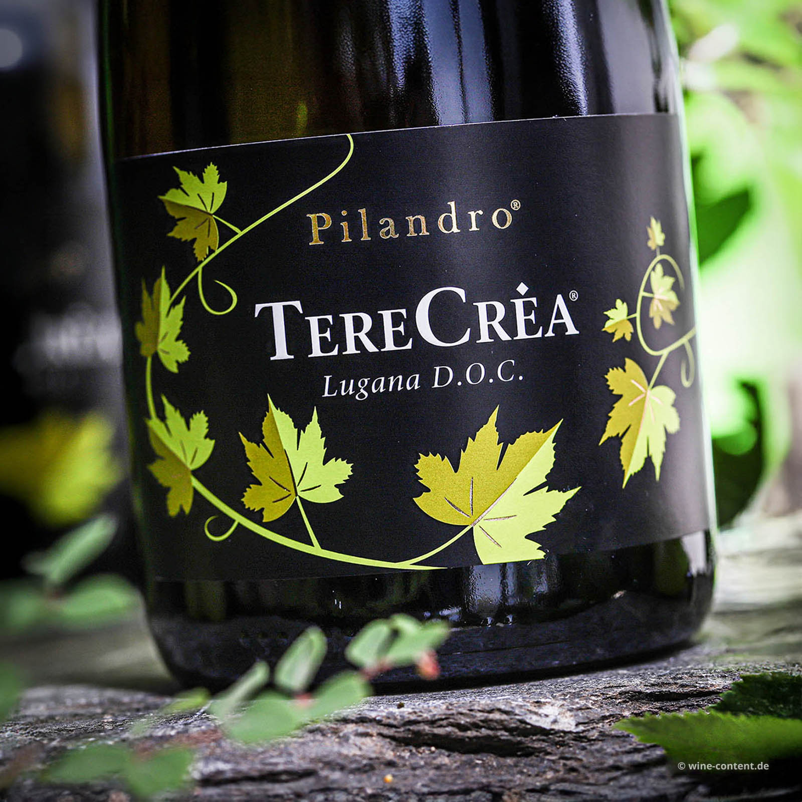 Lugana 2025 TereCrèa