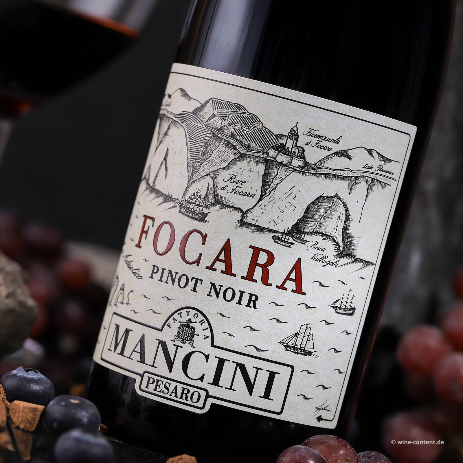 Pinot Noir 2022 Focara