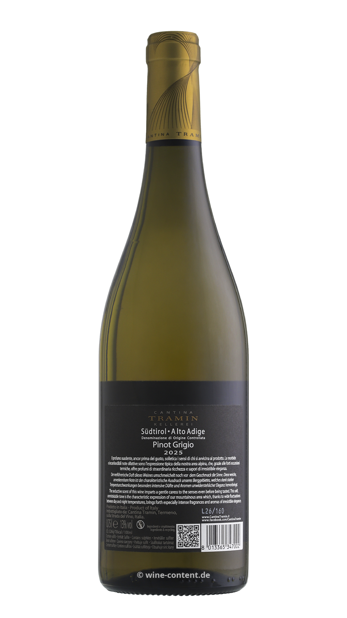 Pinot Grigio 2025 Classic