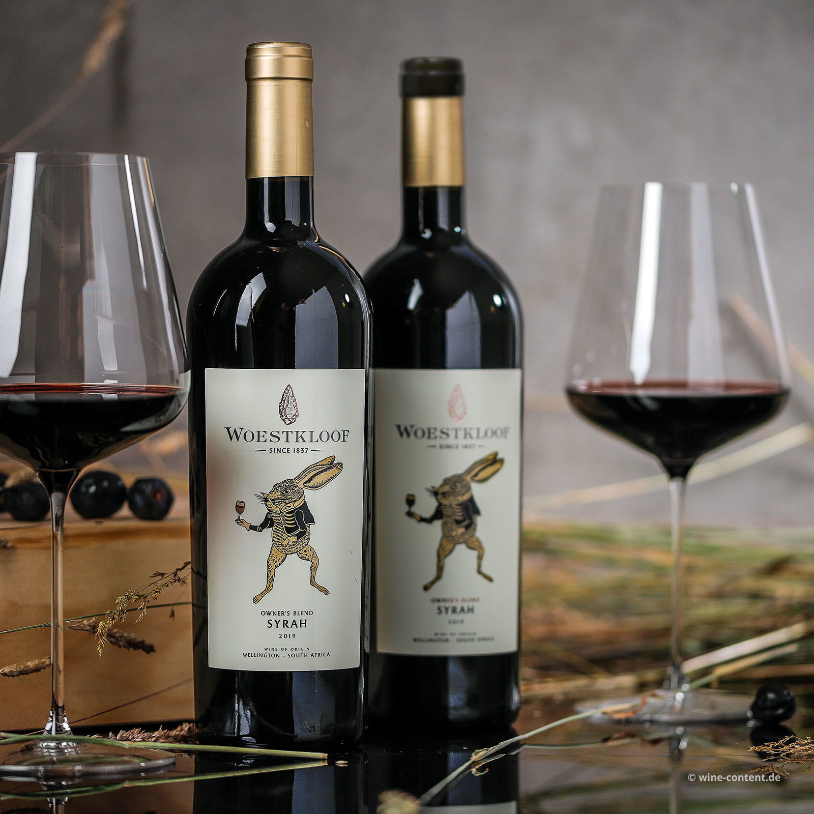Syrah 2019 Owner's Blend