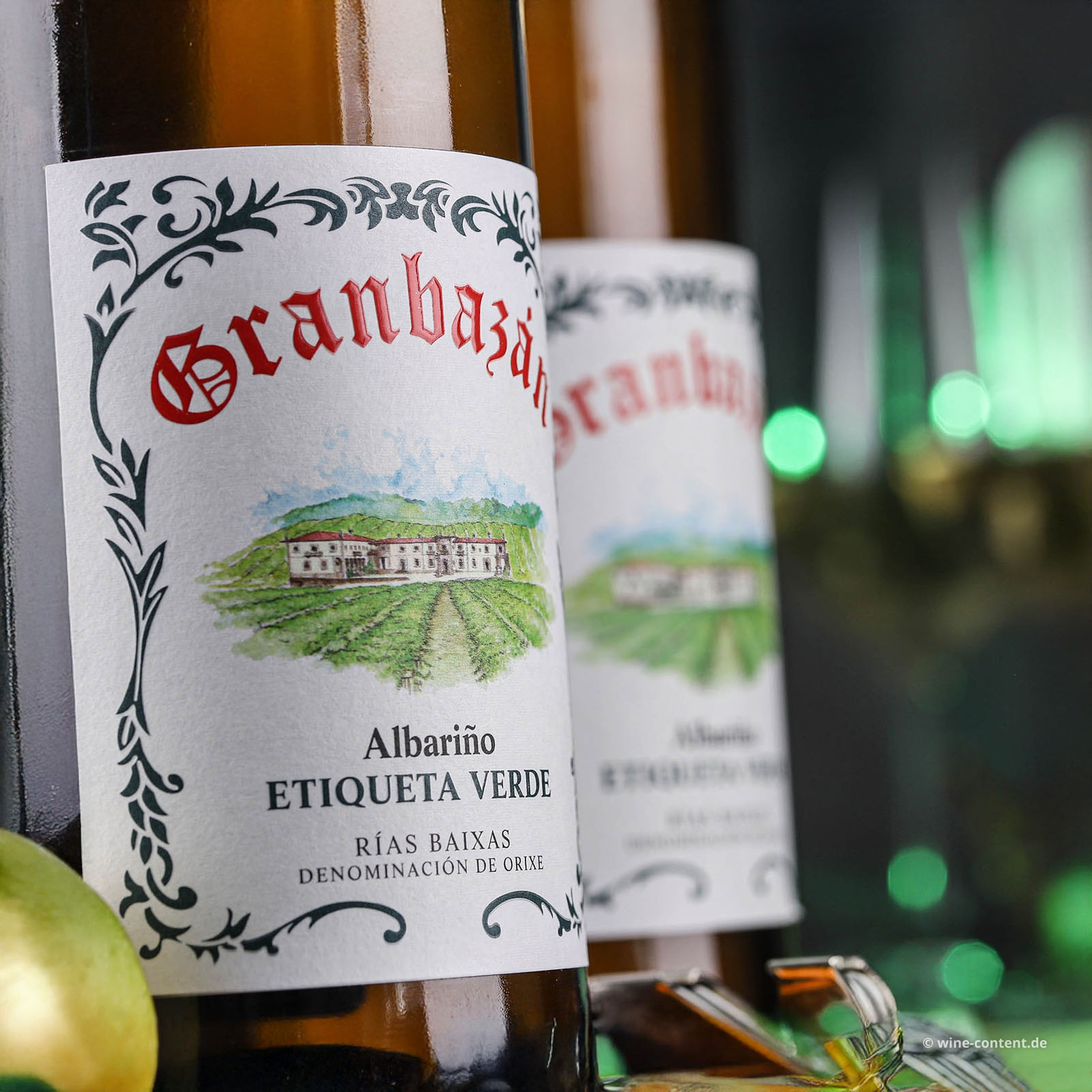 Albariño 2024 Etiqueta Verde Magnum