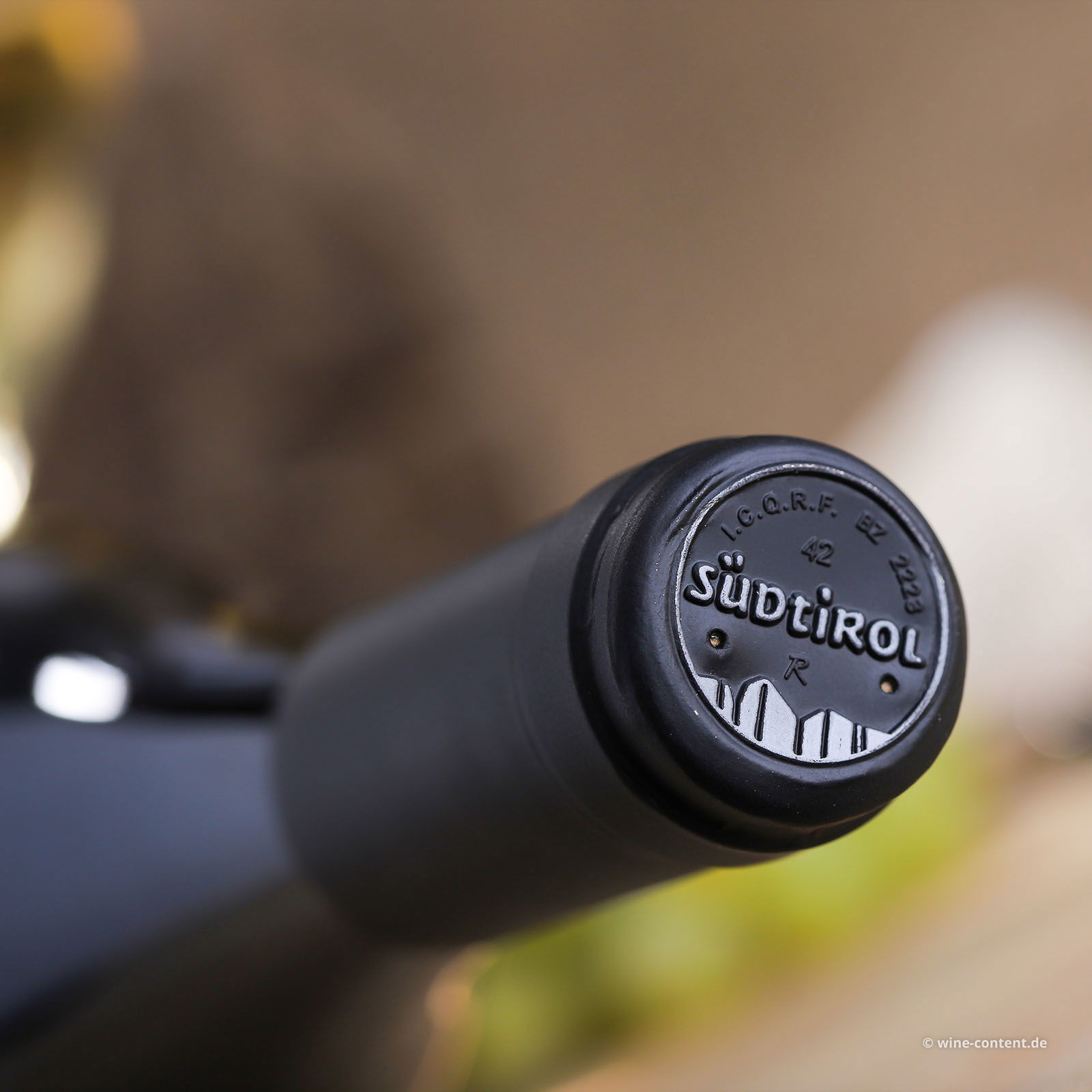 Chardonnay Riserva 2021 Stegher