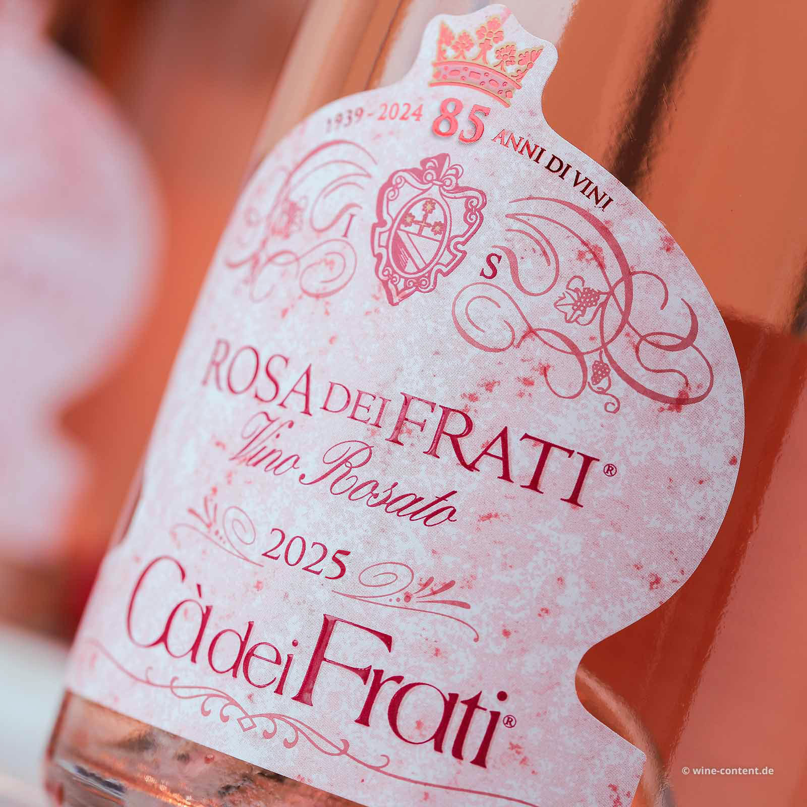 Rosa dei Frati 2025
