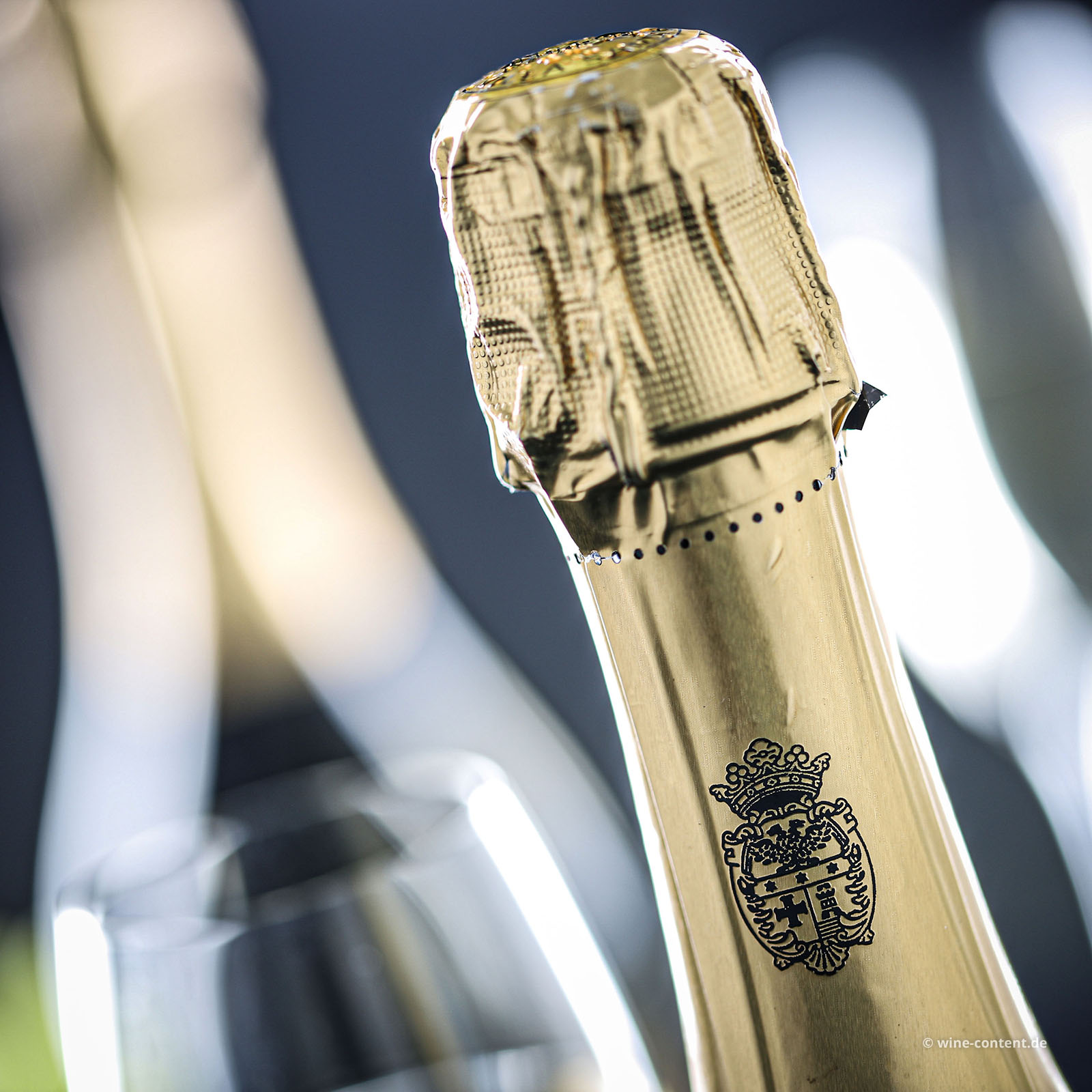 Prosecco il Fresco Brut