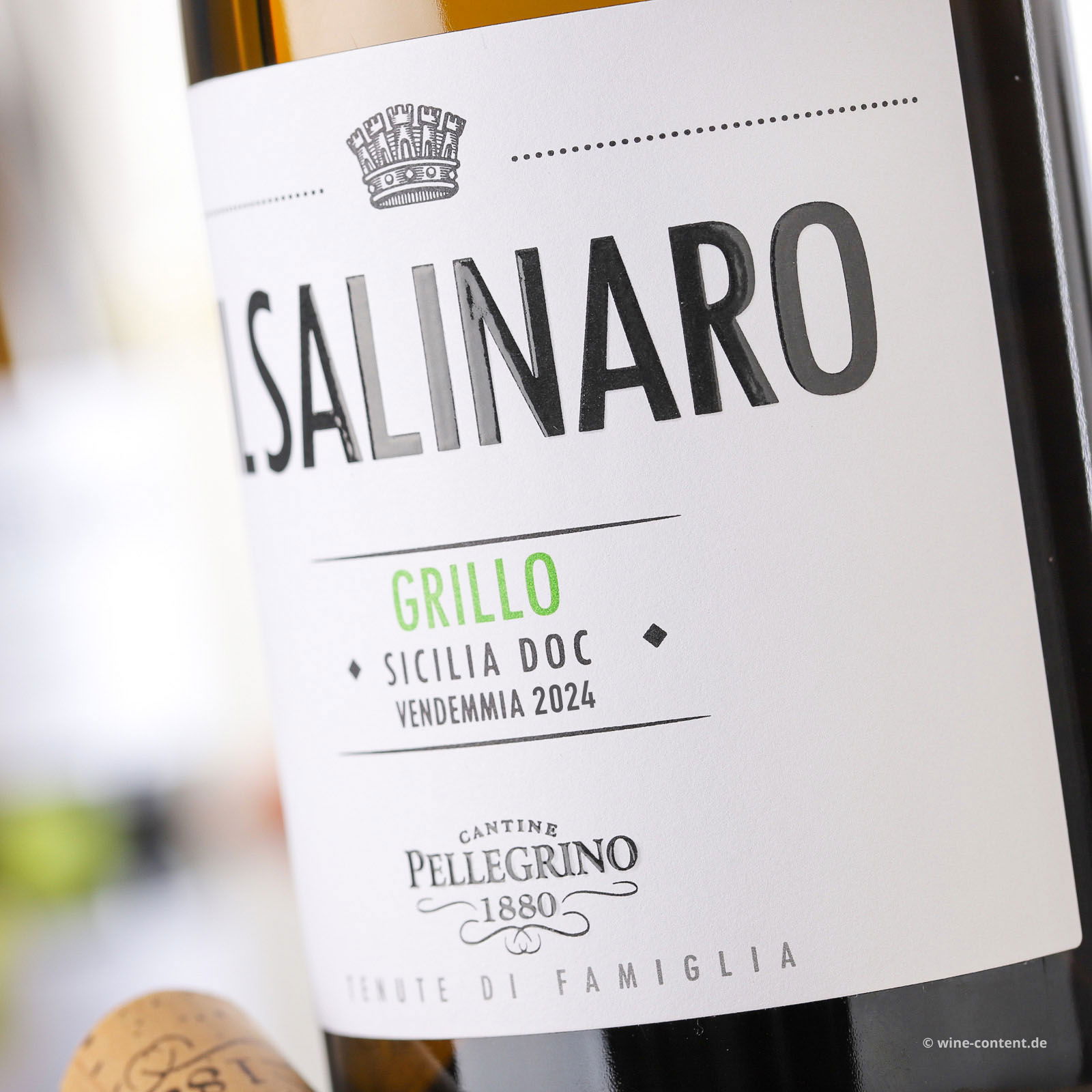 Grillo Sicilia 2024 Il Salinaro