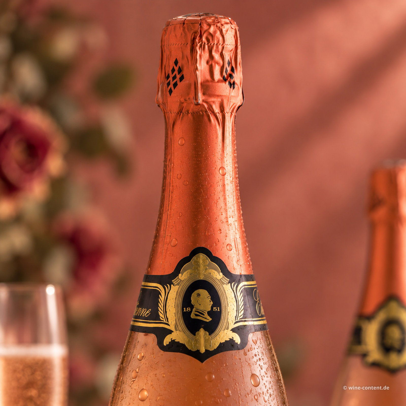 Crémant de Loire Rosé Etienne Brut