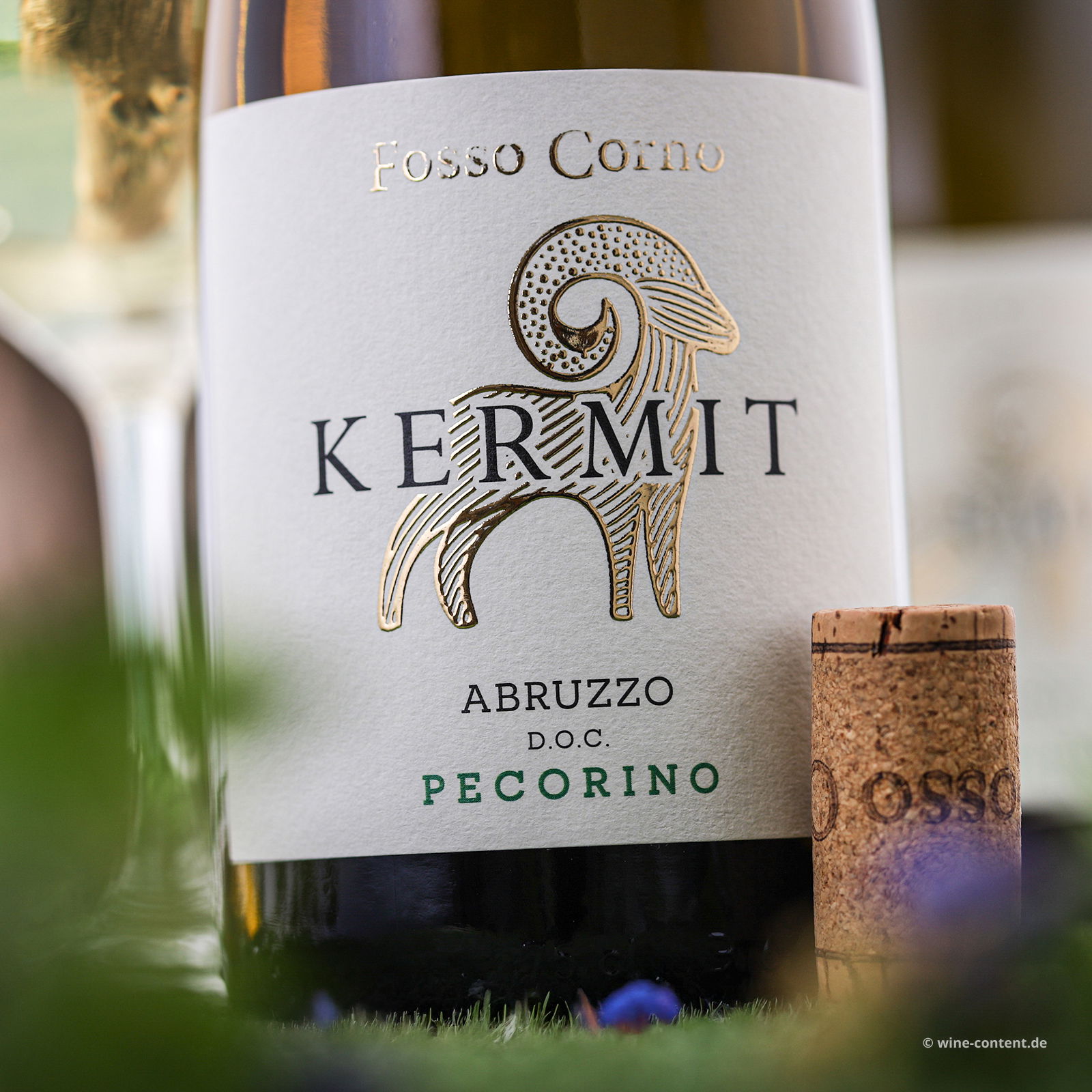 Pecorino Abruzzo 2023 Kermit